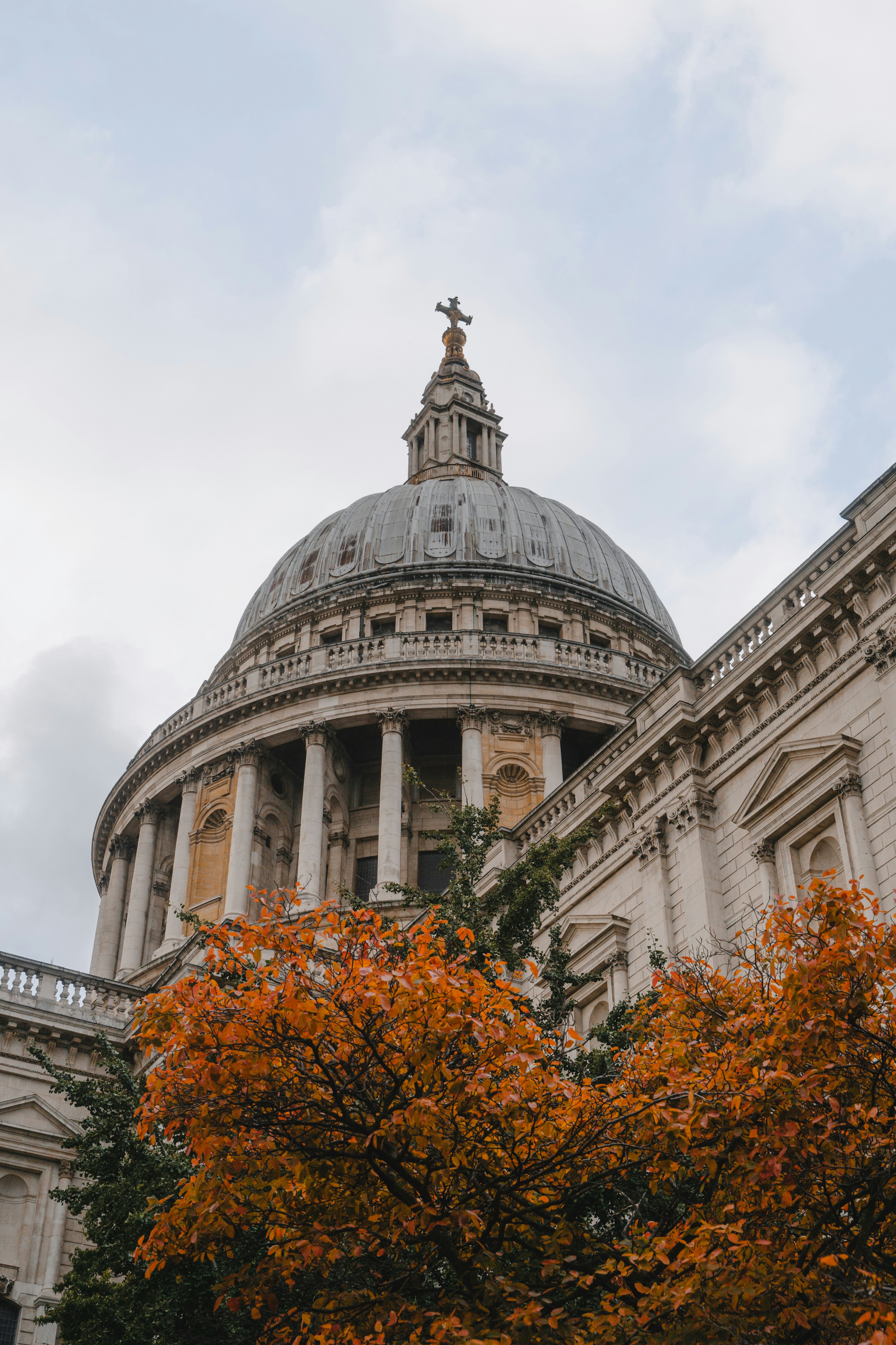 The dome of a building with a tree in front of it