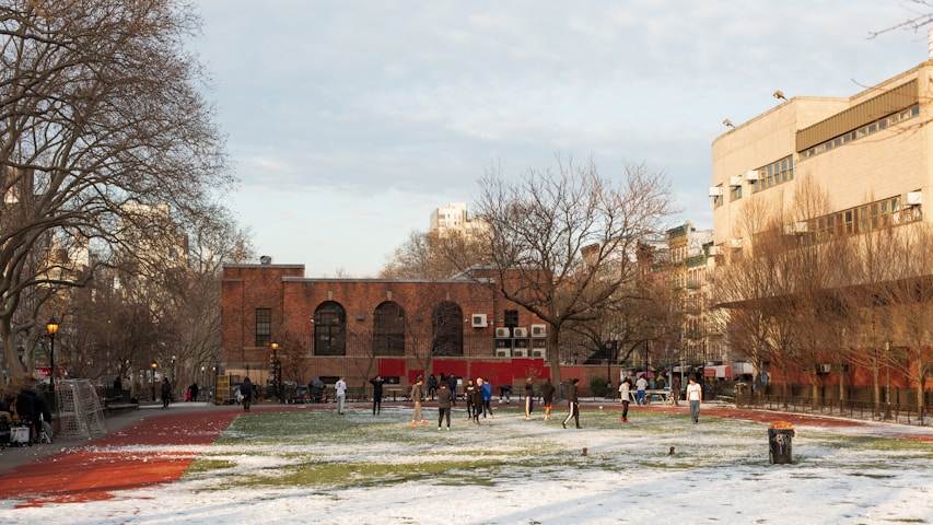 New York University (NYU)
