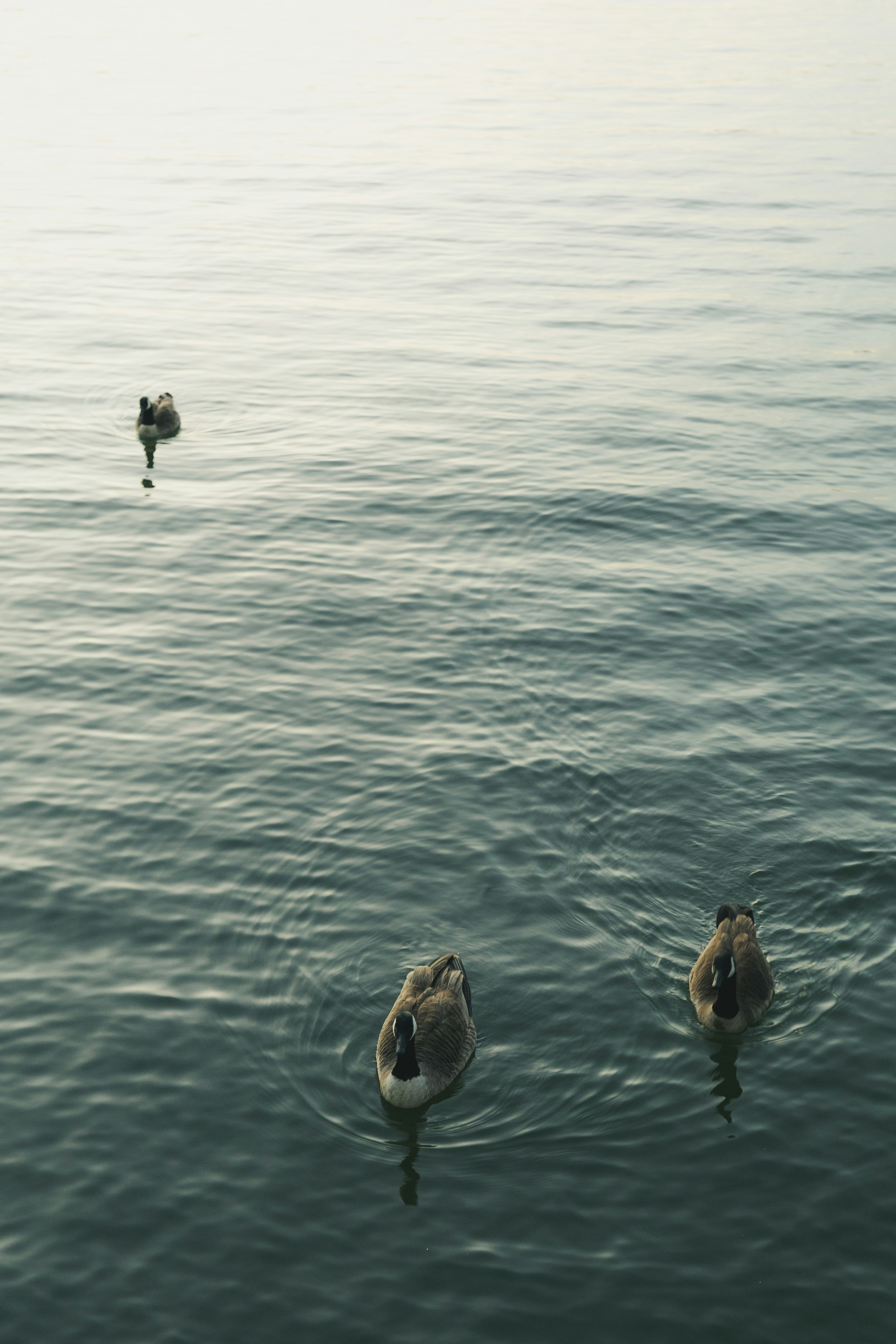 Photo by mjhphotography