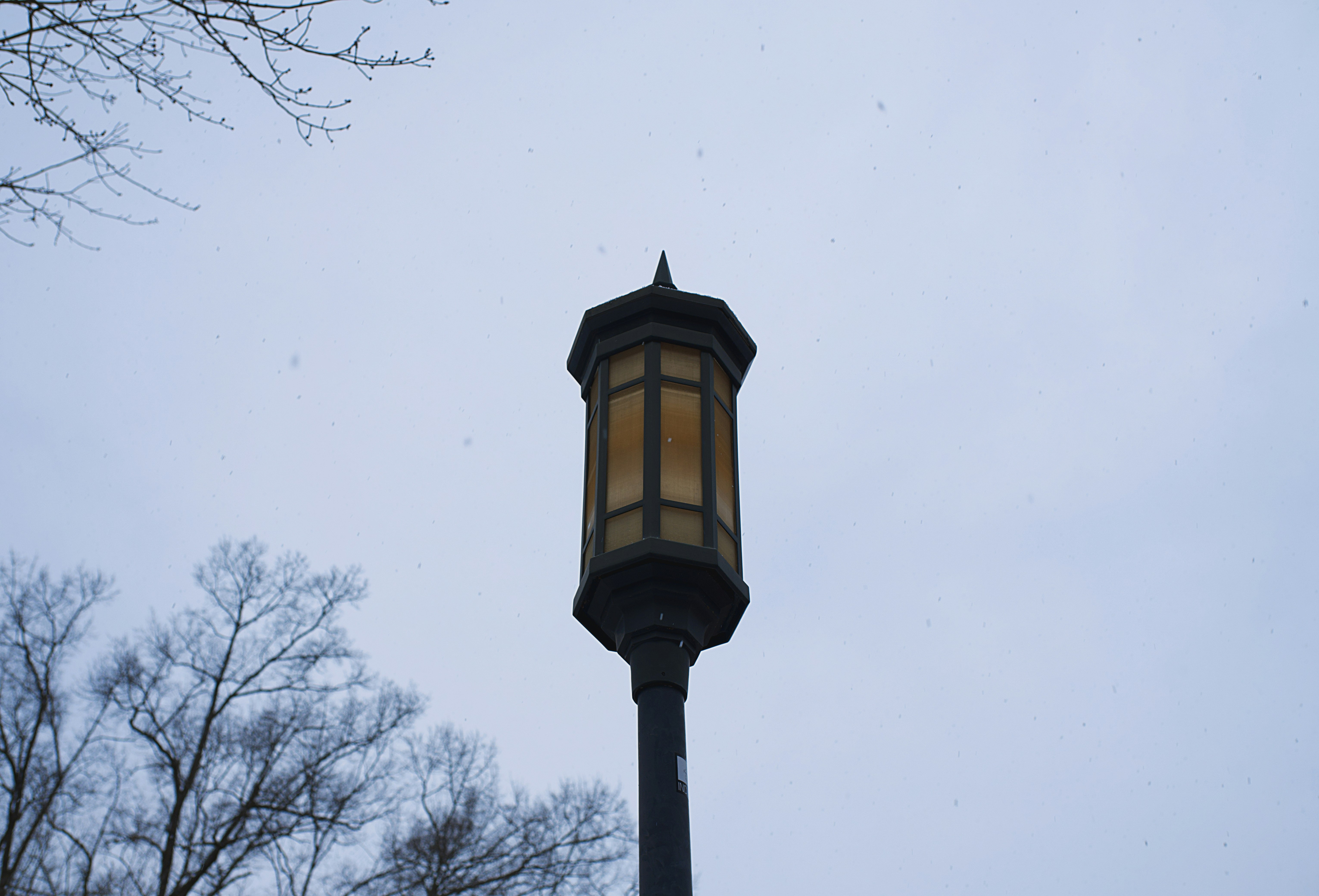 Photo by leiadakrozjhen