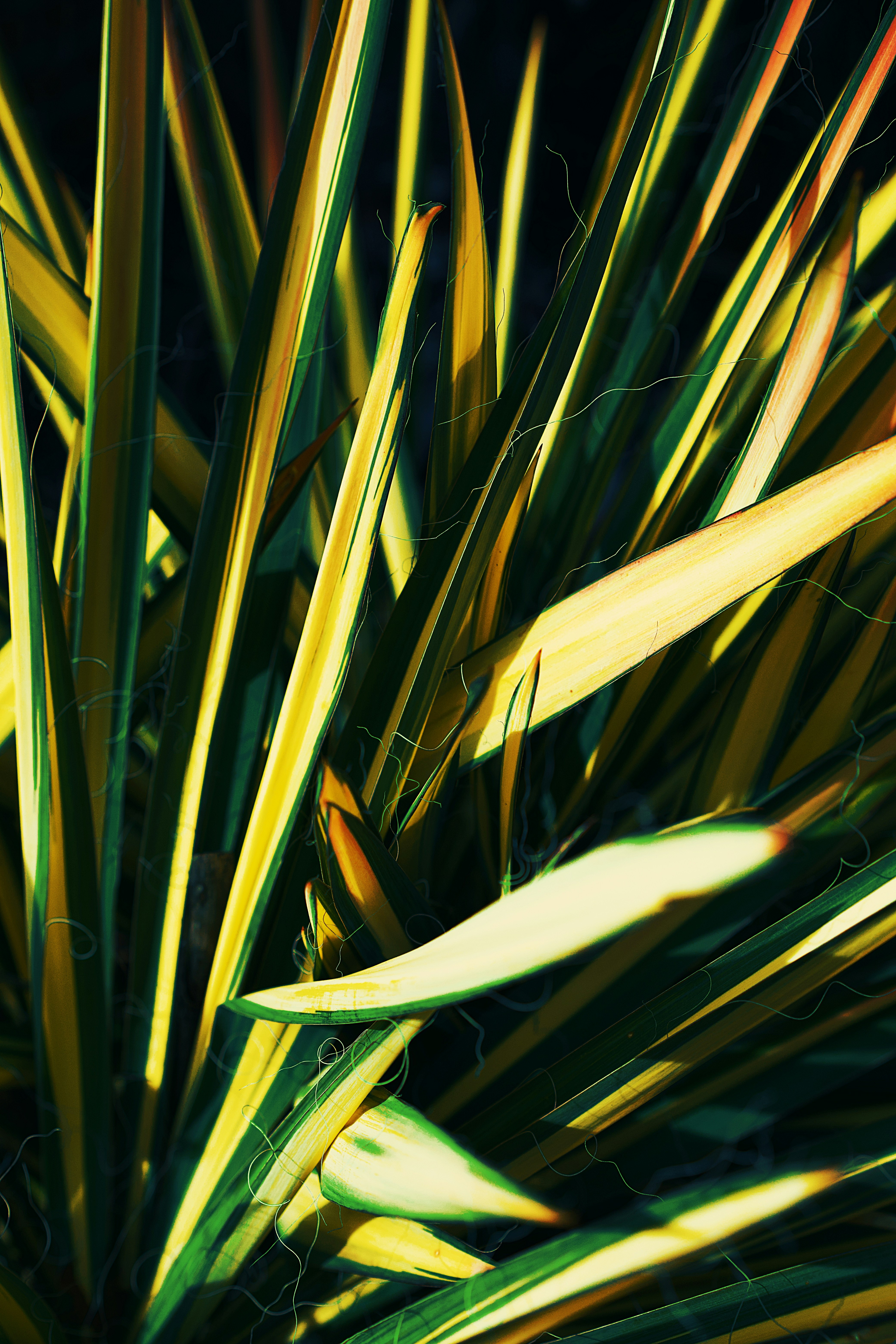 Photo by leiadakrozjhen