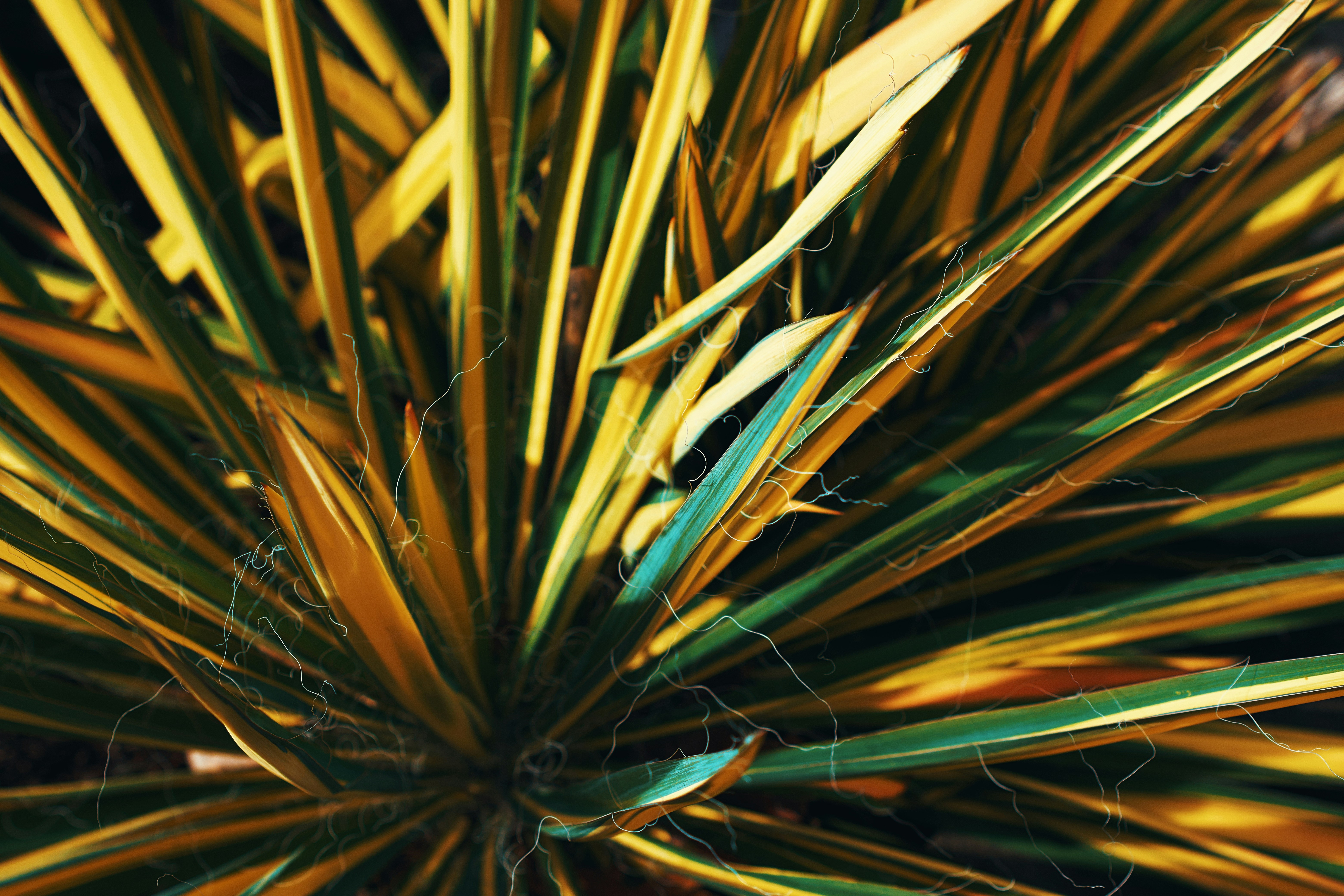 Photo by leiadakrozjhen