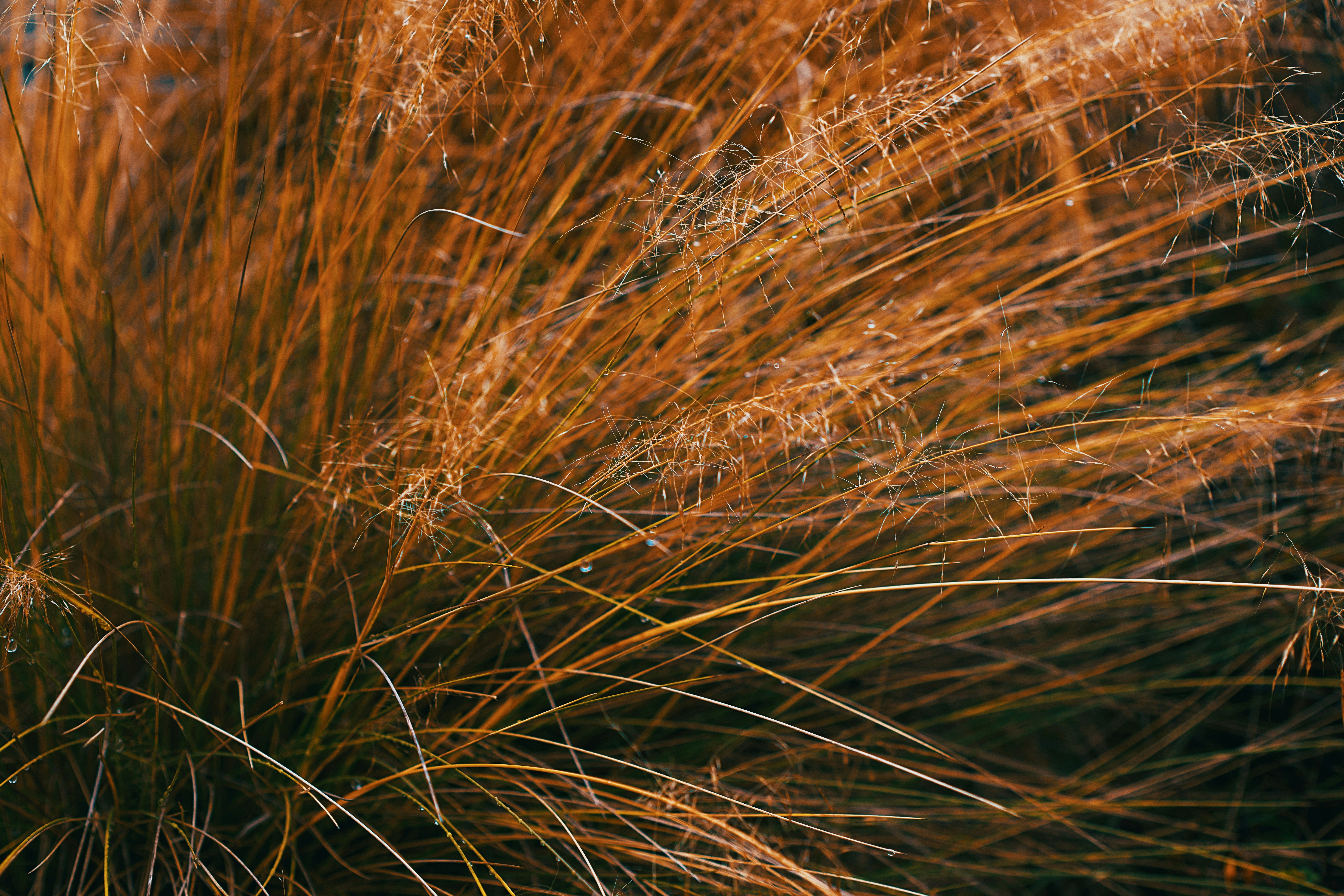 Photo by leiadakrozjhen