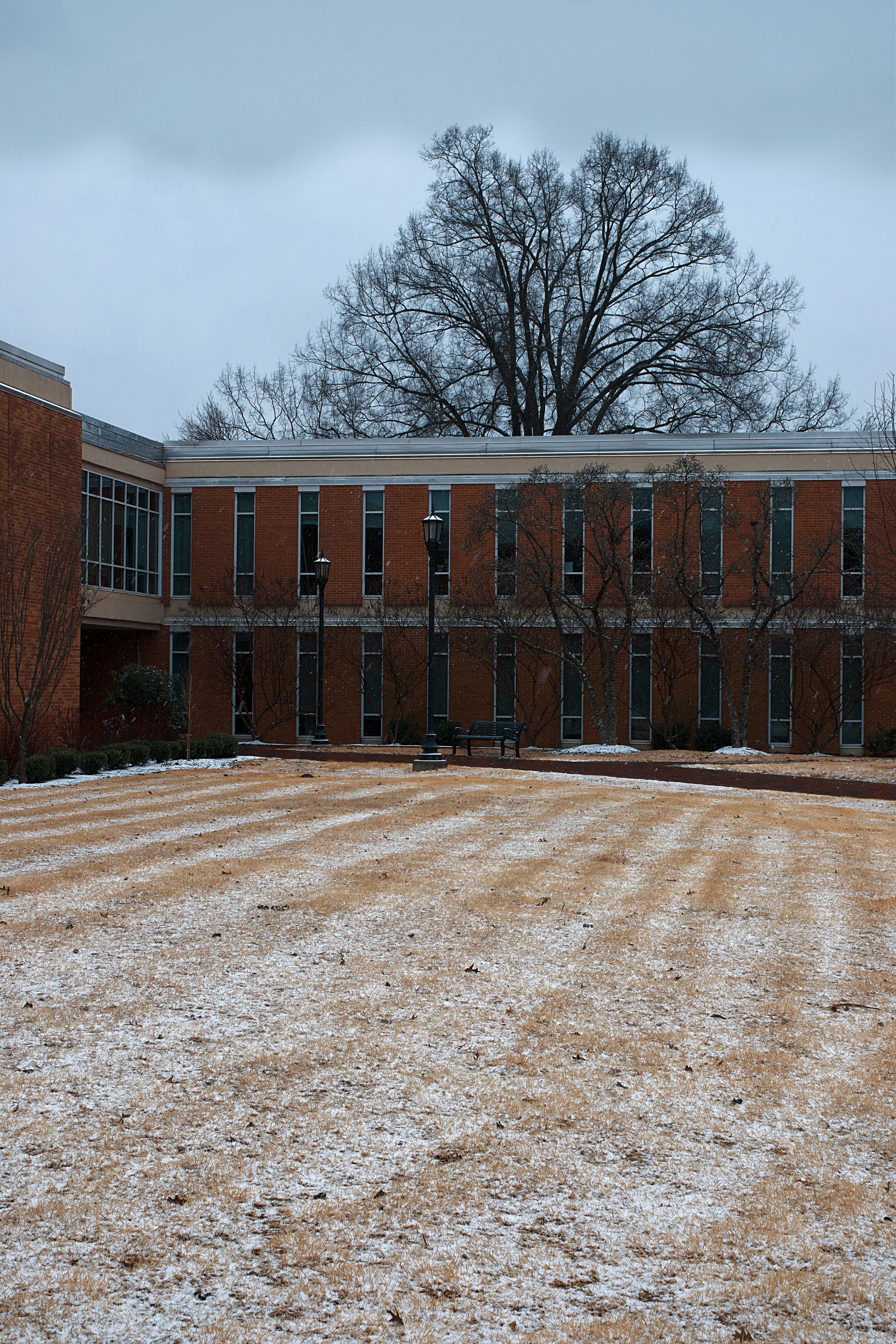 Photo by leiadakrozjhen