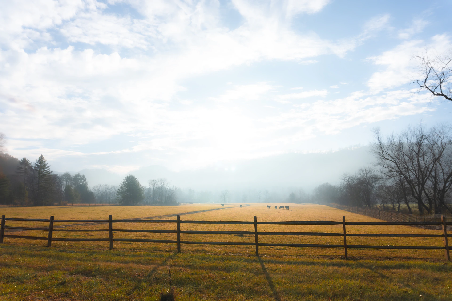 A large open field with a fence in the foreground
