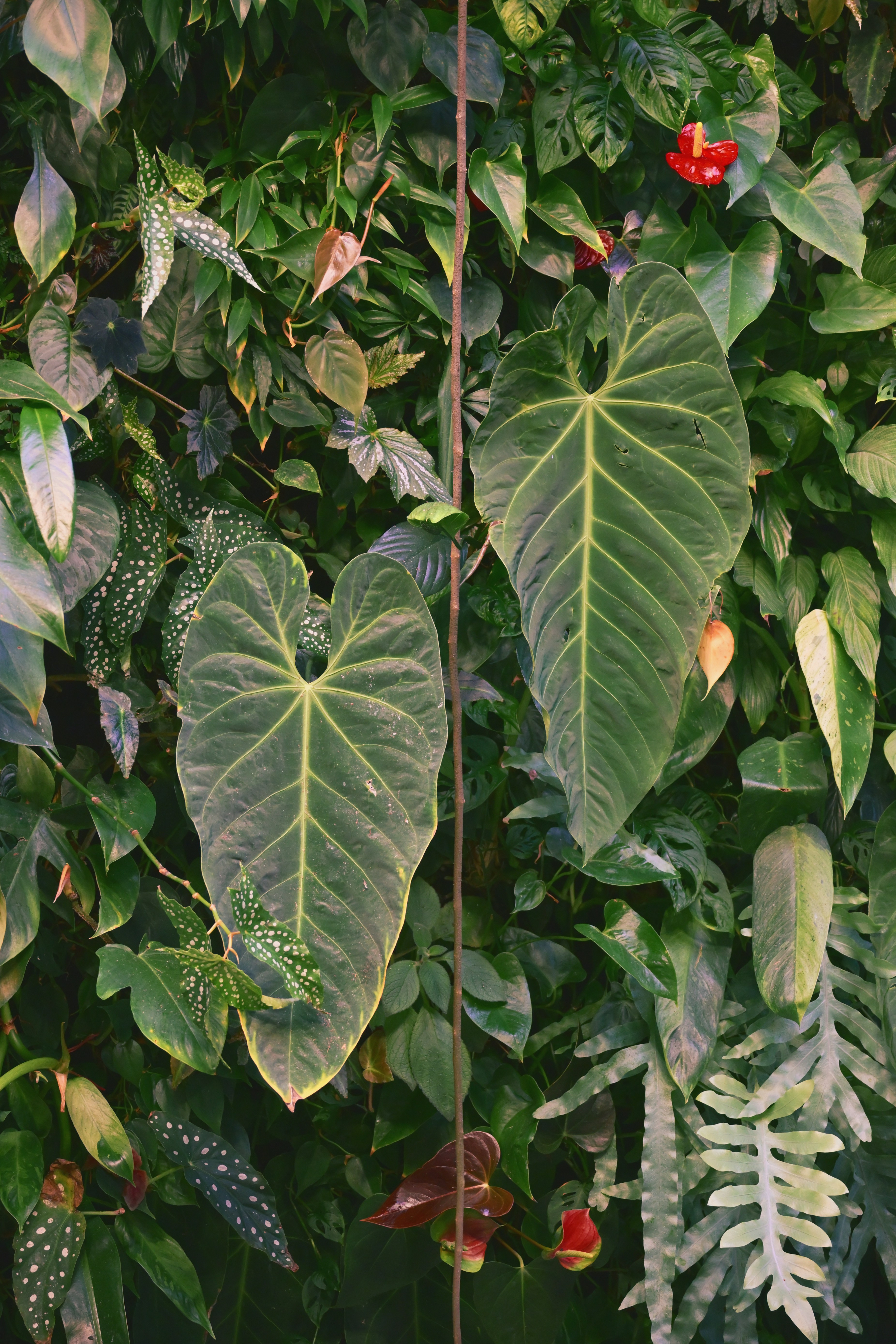 Photo by fleeting_glow