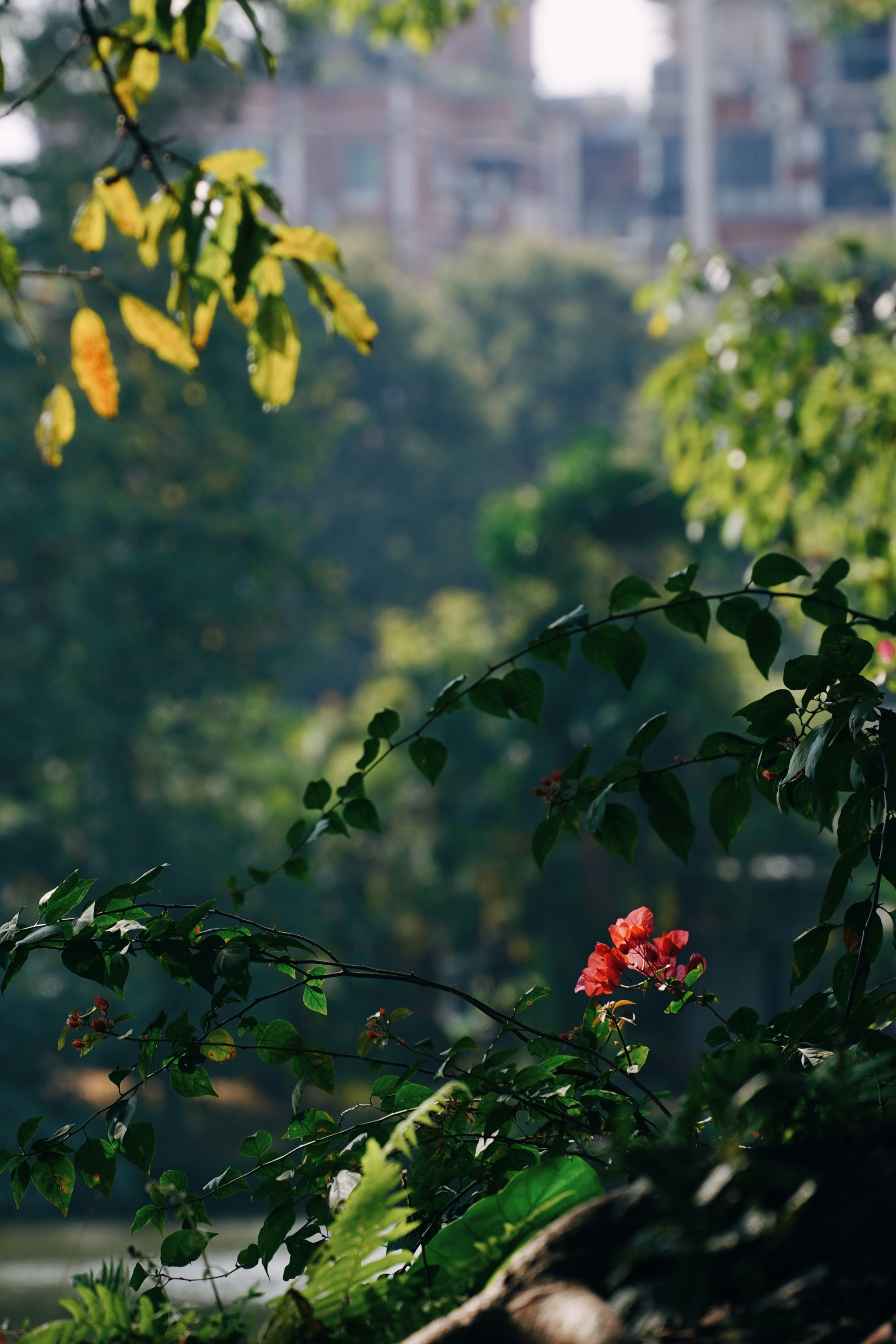 Photo by 1036693379a