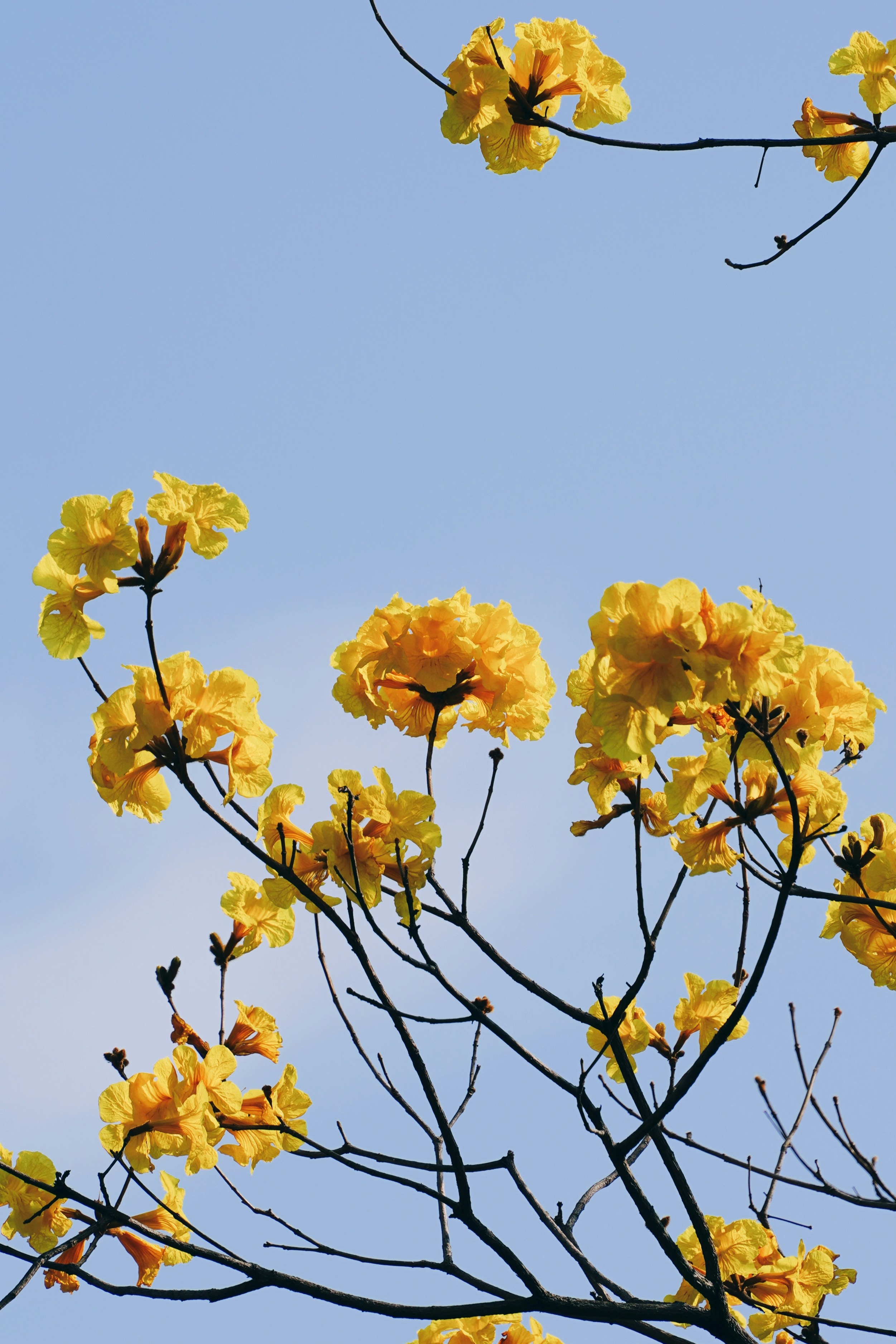 Photo by 1036693379a