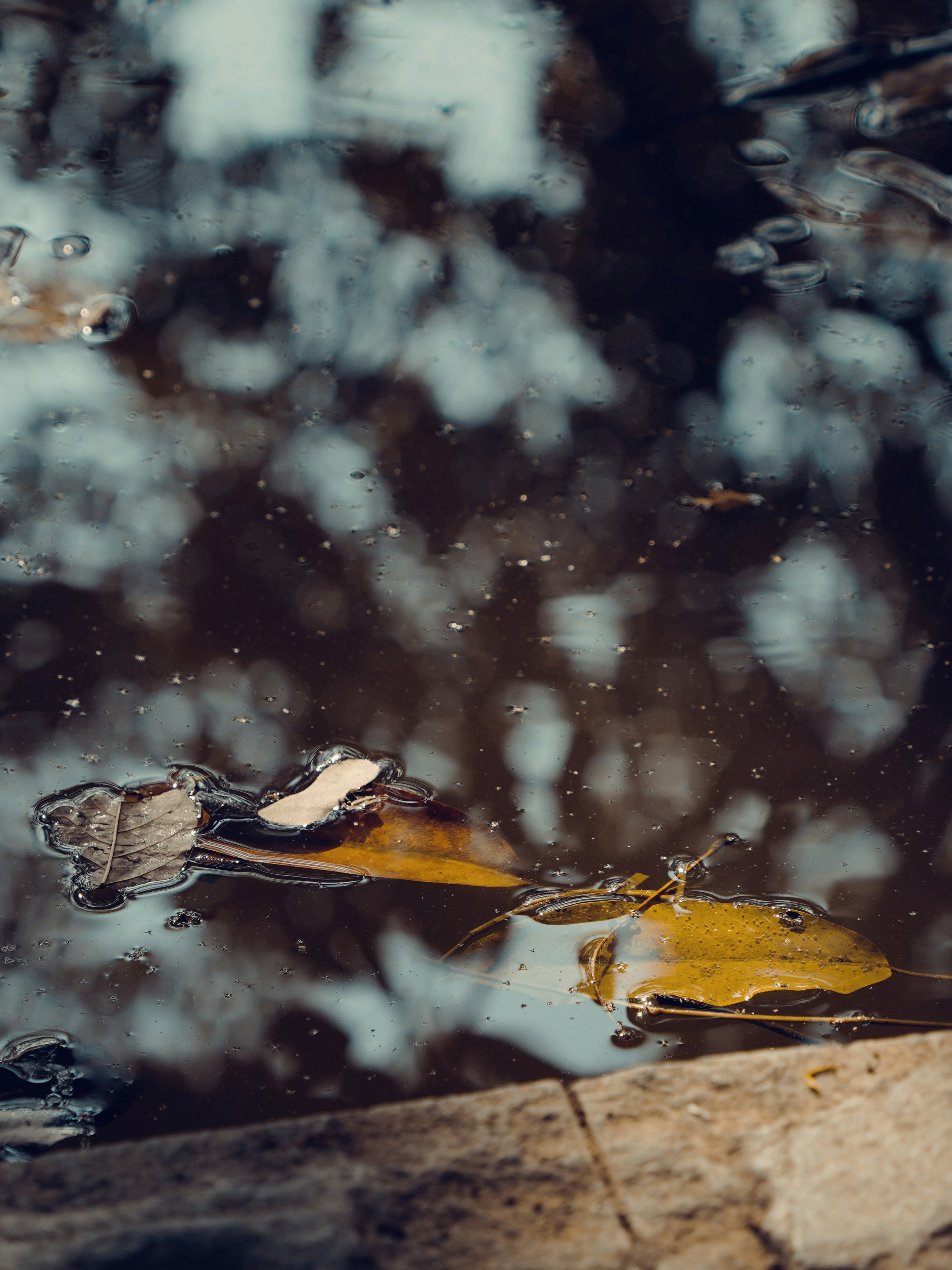 Photo by 1036693379a