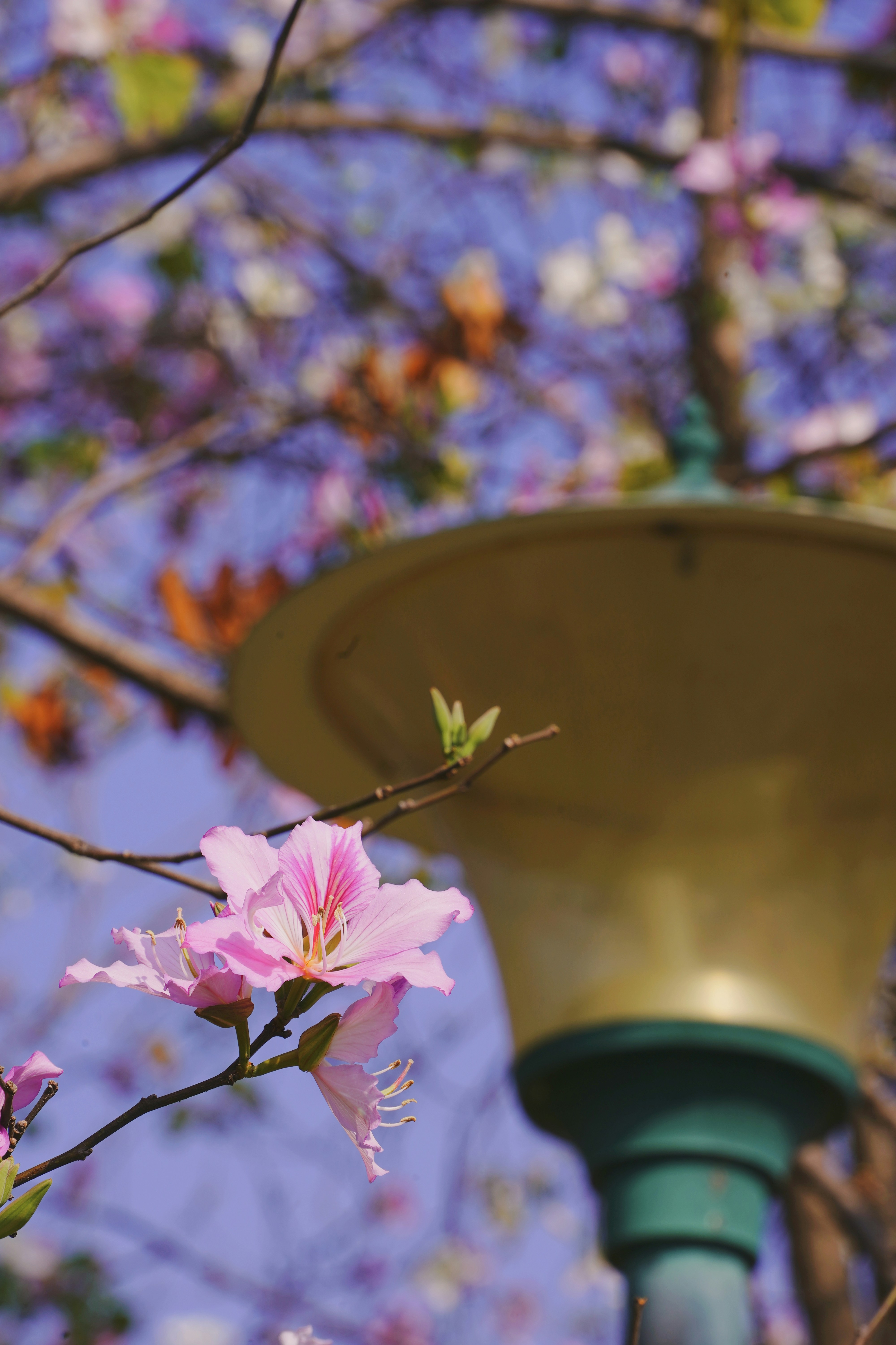 Photo by 1036693379a