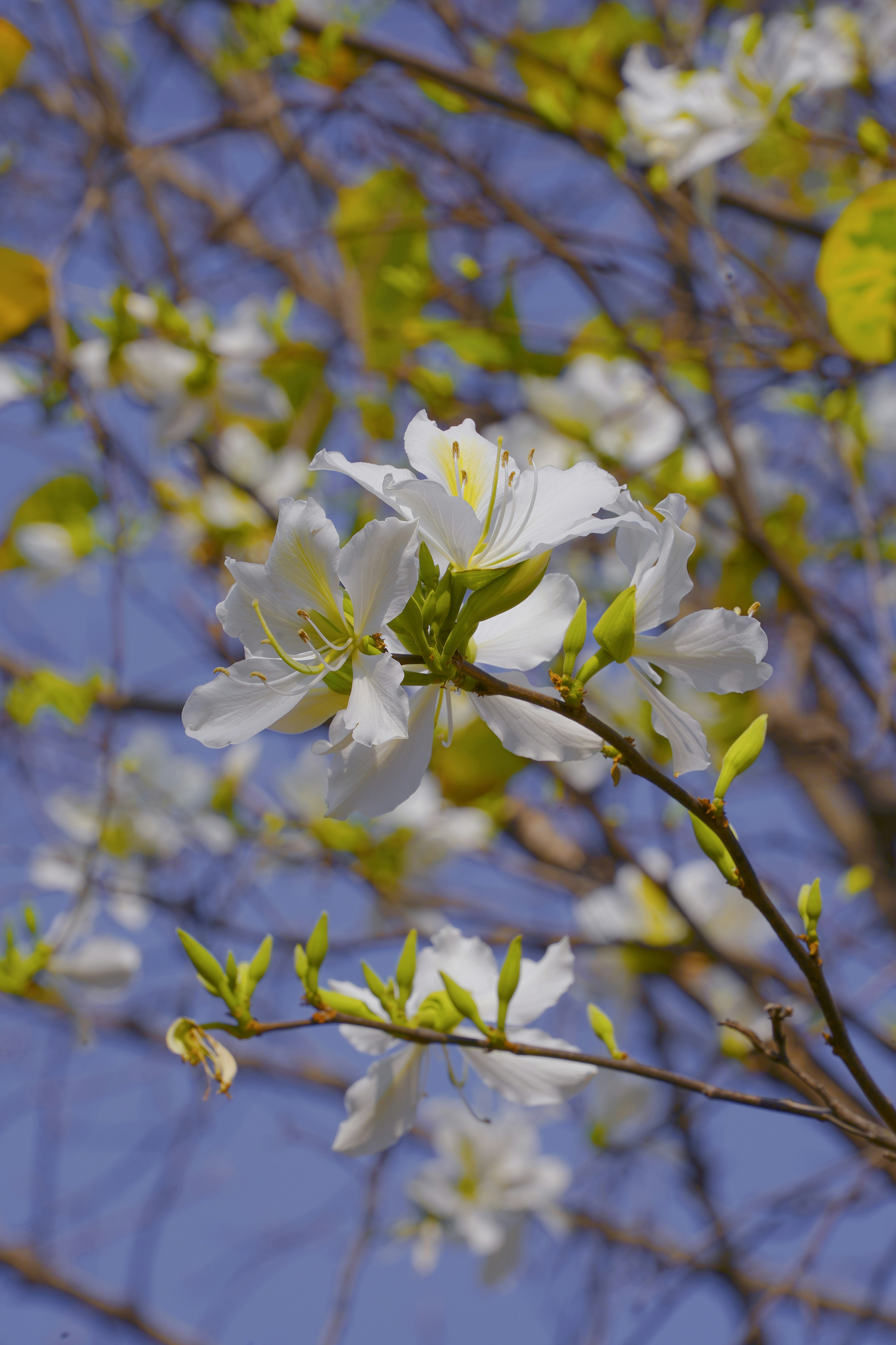 Photo by 1036693379a