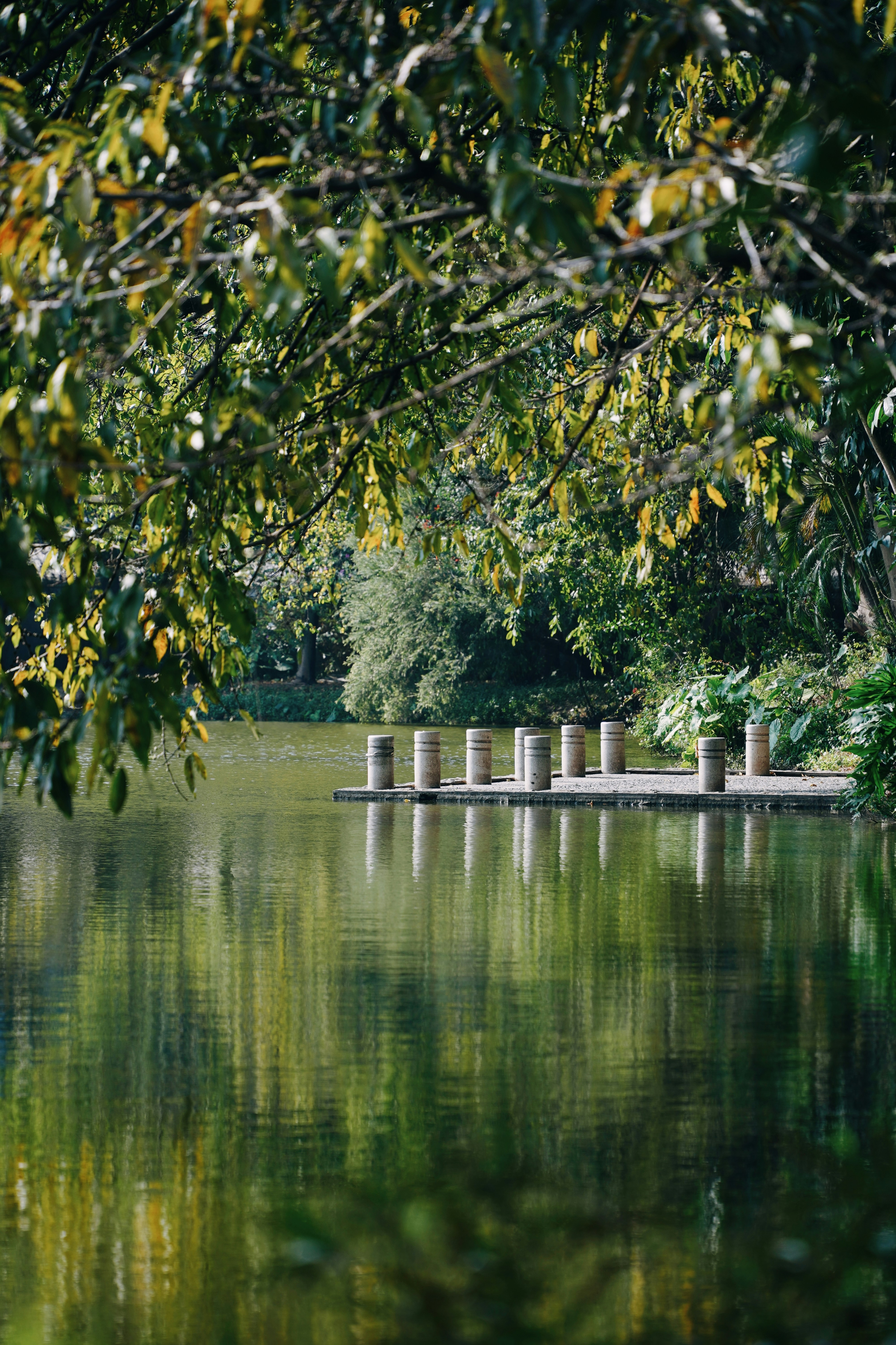 Photo by 1036693379a