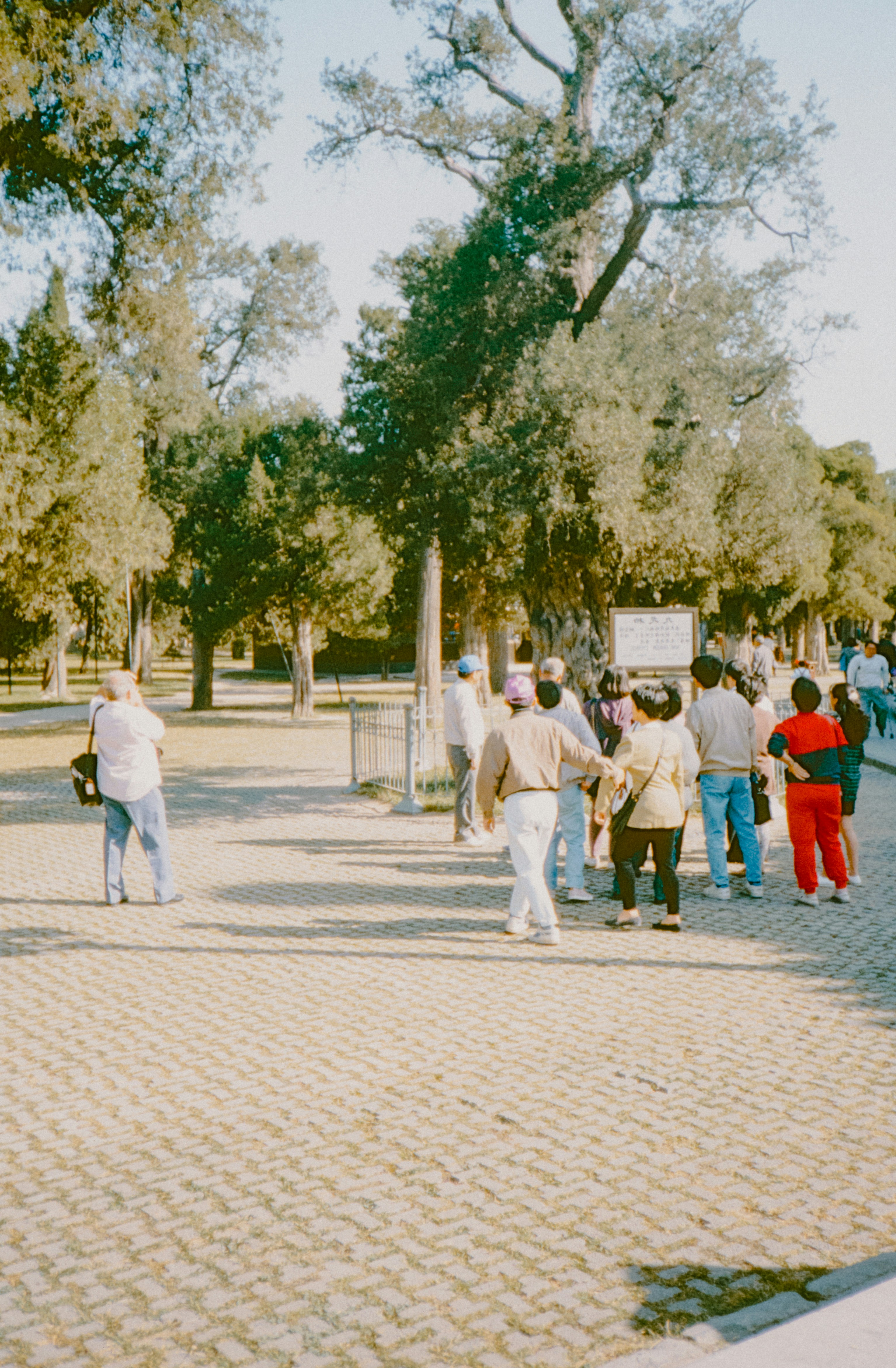 A group of people walking down a street next to trees