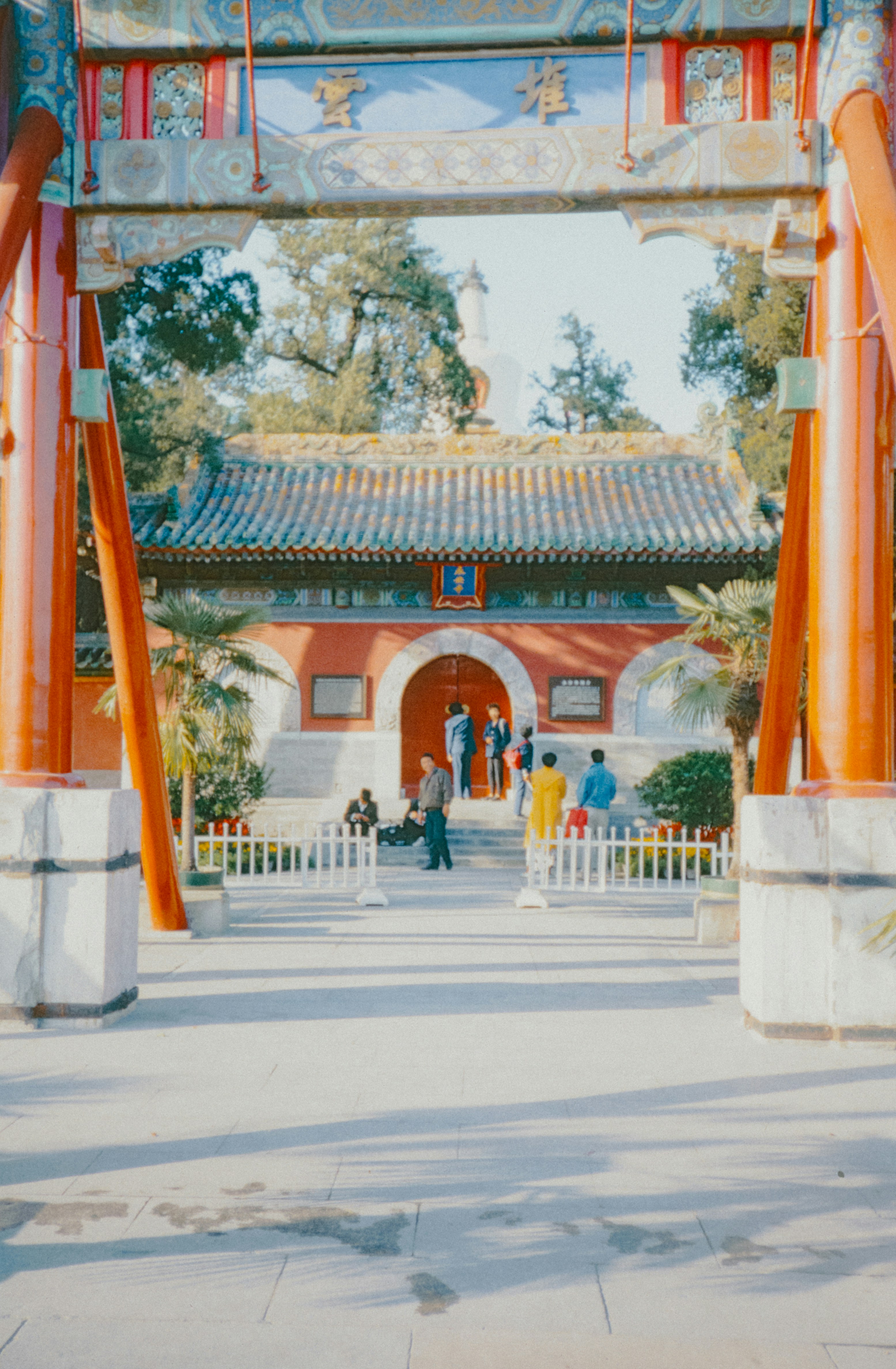 Photo by anniespratt