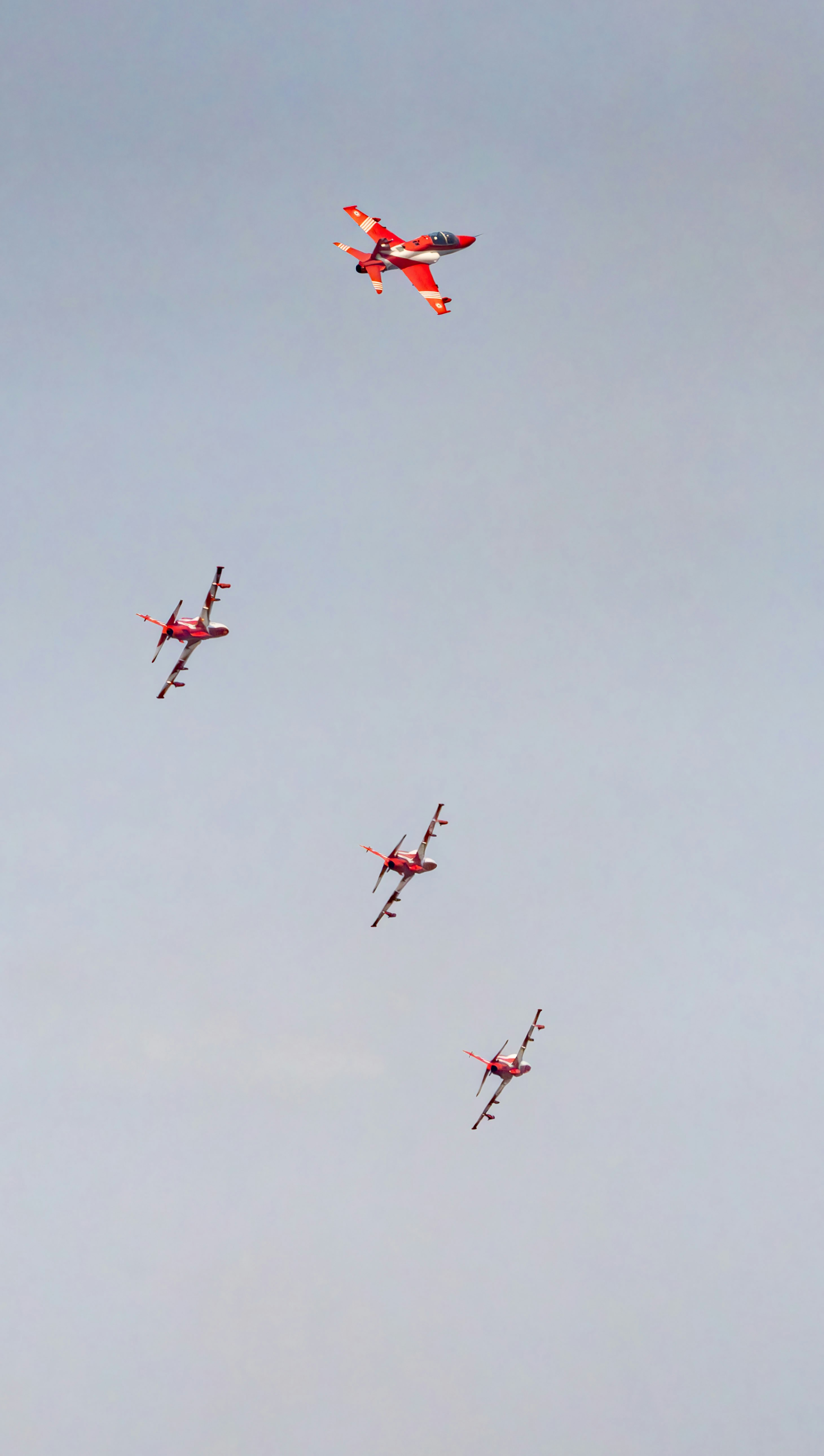 Photo by anil_sharma_india