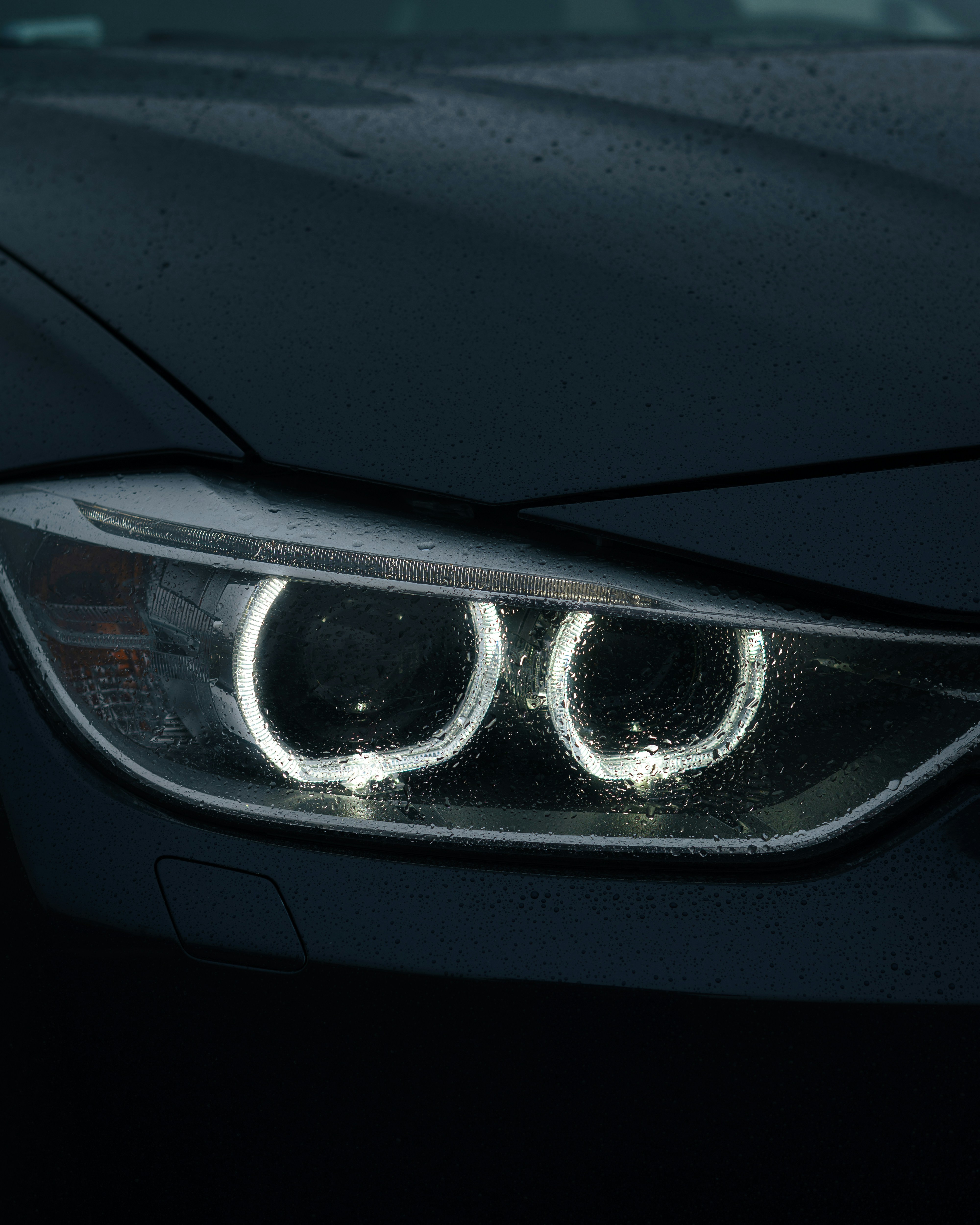 Photo by userwithcamera