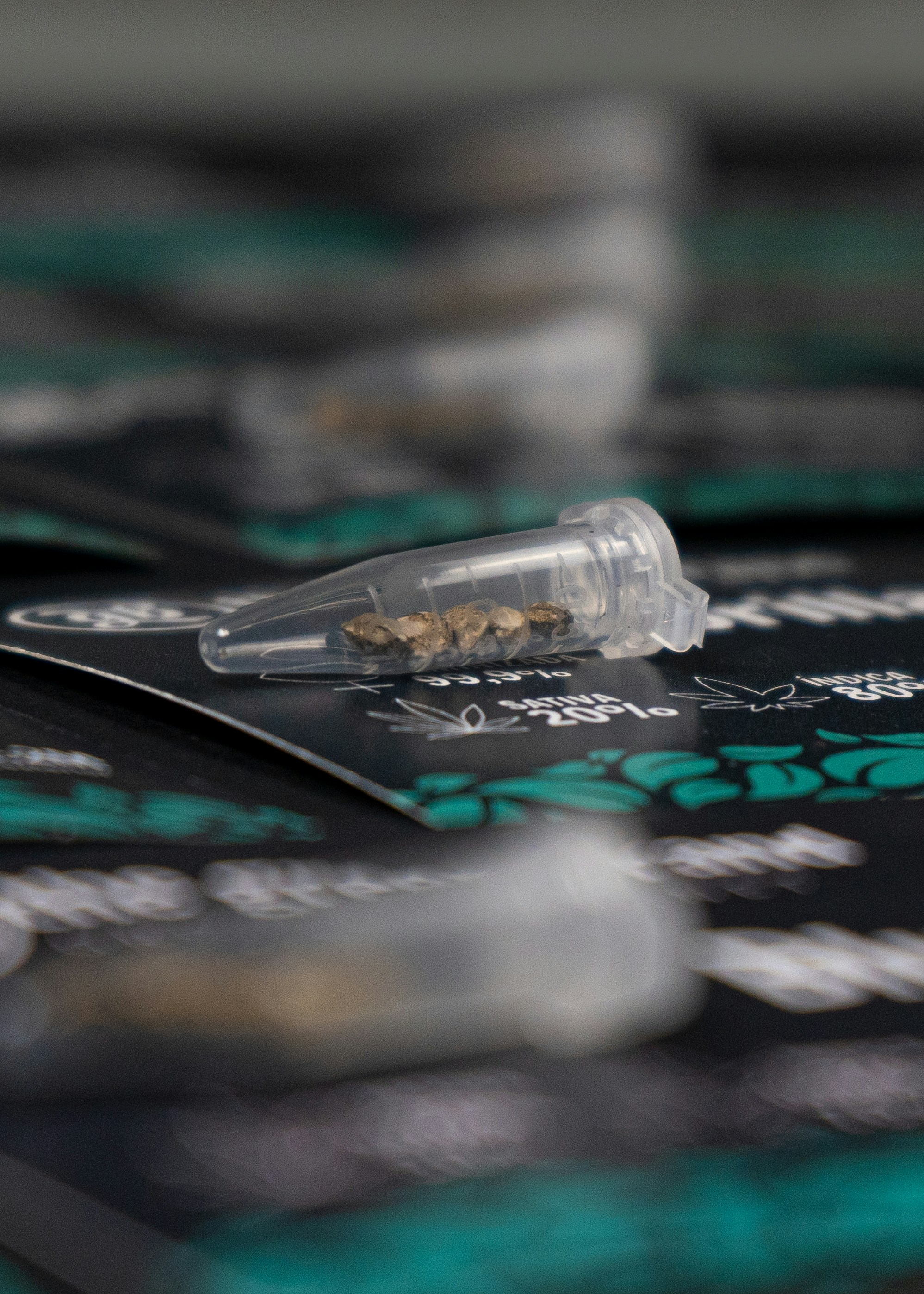 naturaleza conservación