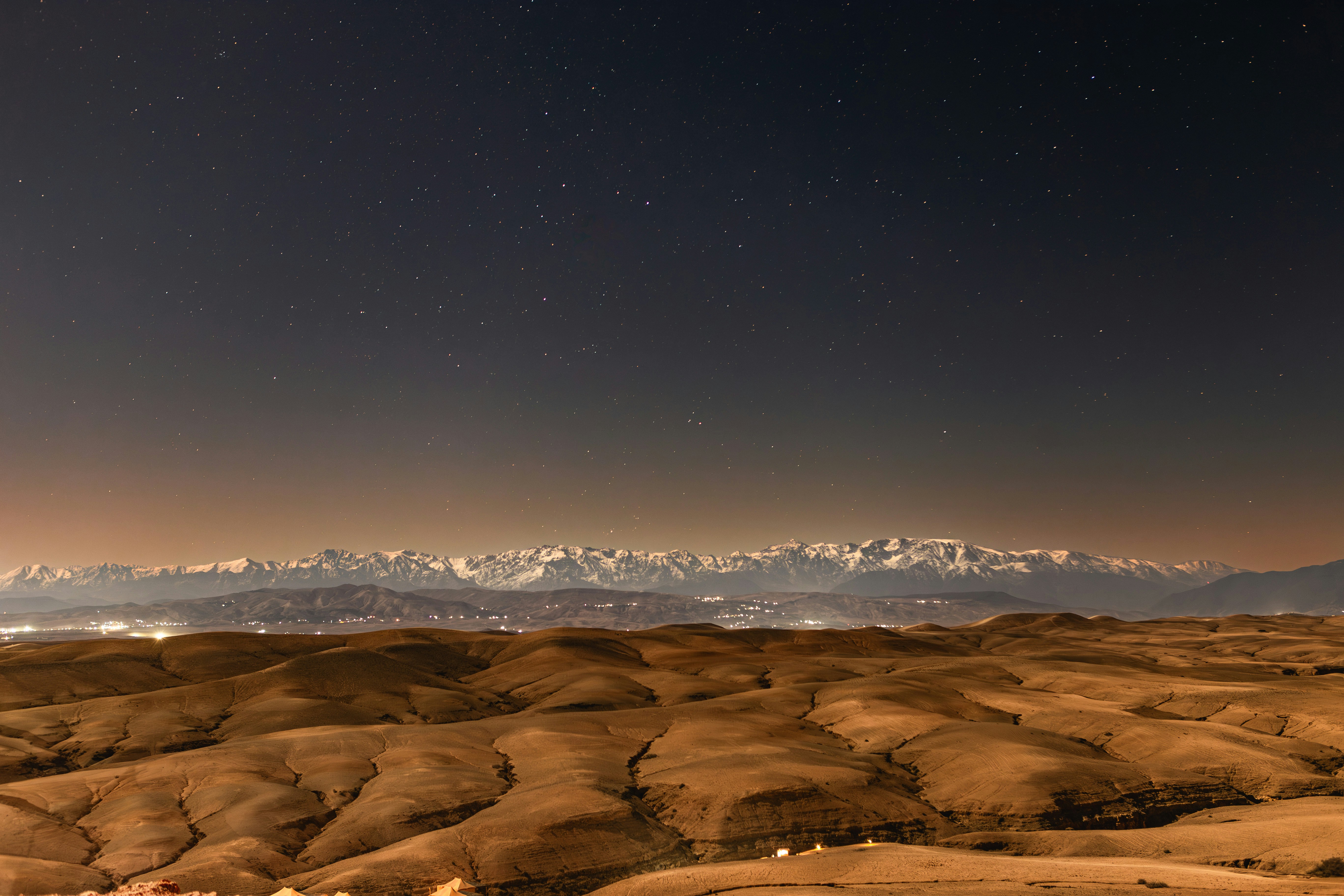 신용도 조회 시 미납 공과금 확인 가능?