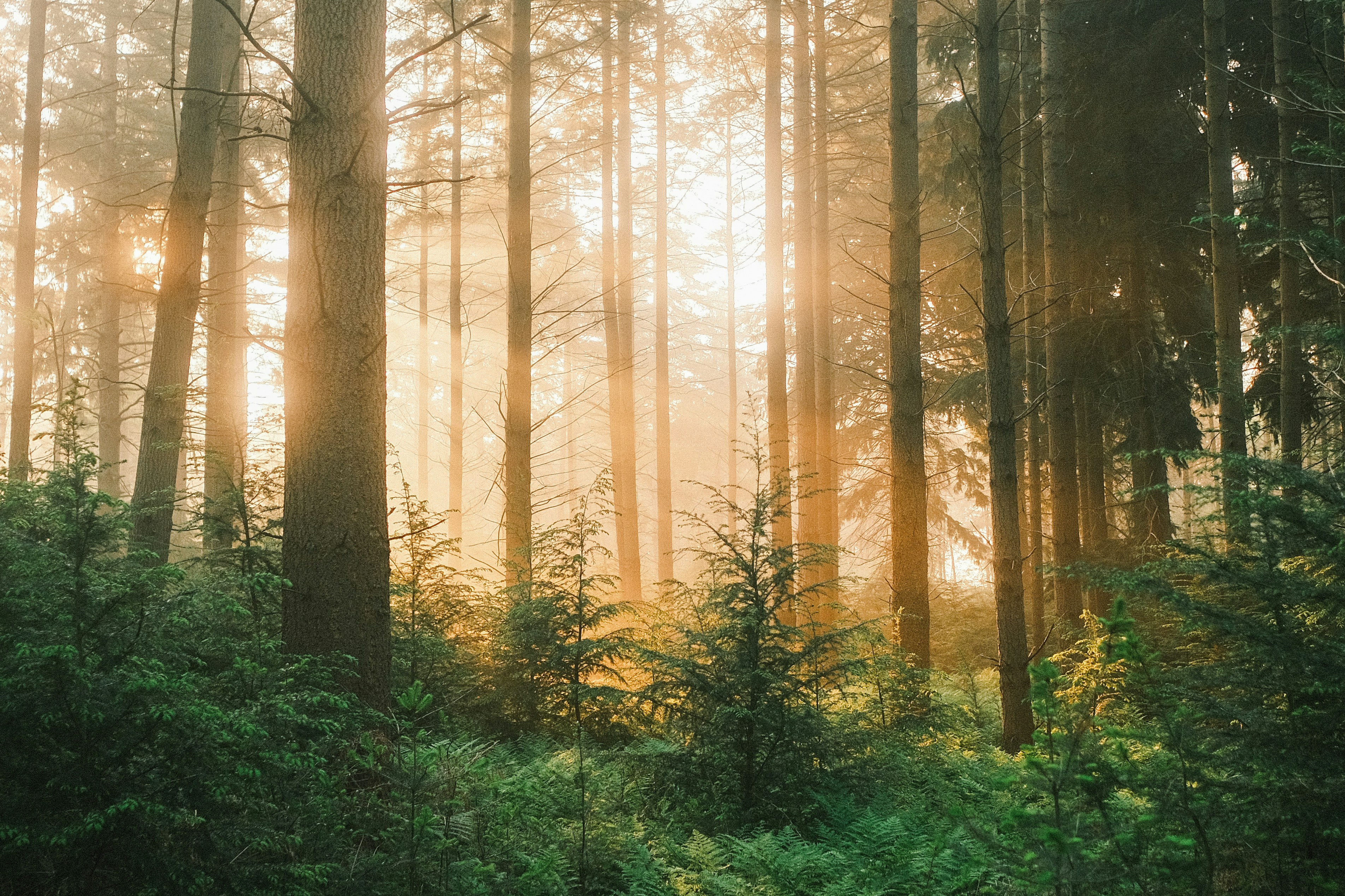 Photo by visualsbying