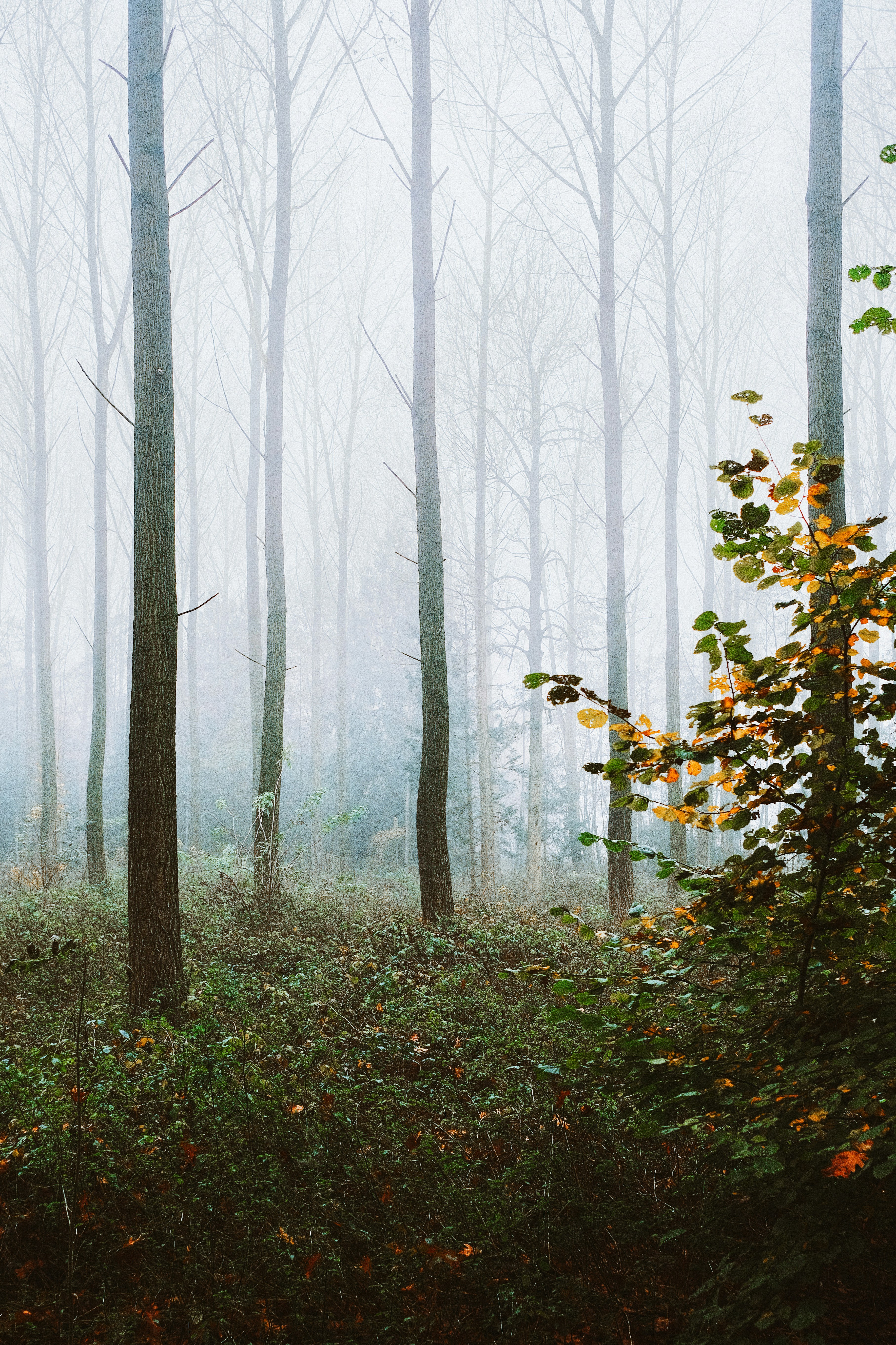 Photo by visualsbying