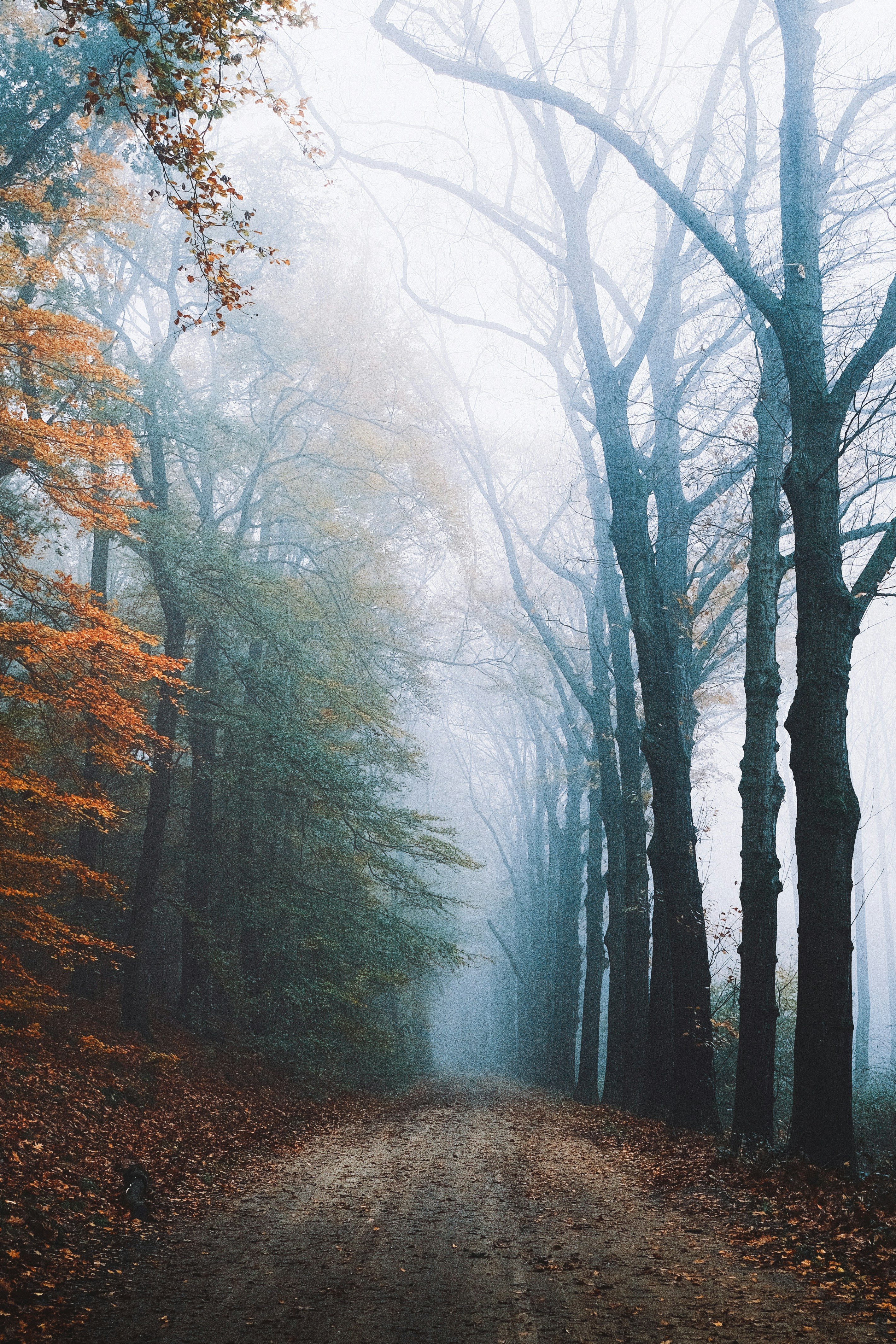 Photo by visualsbying