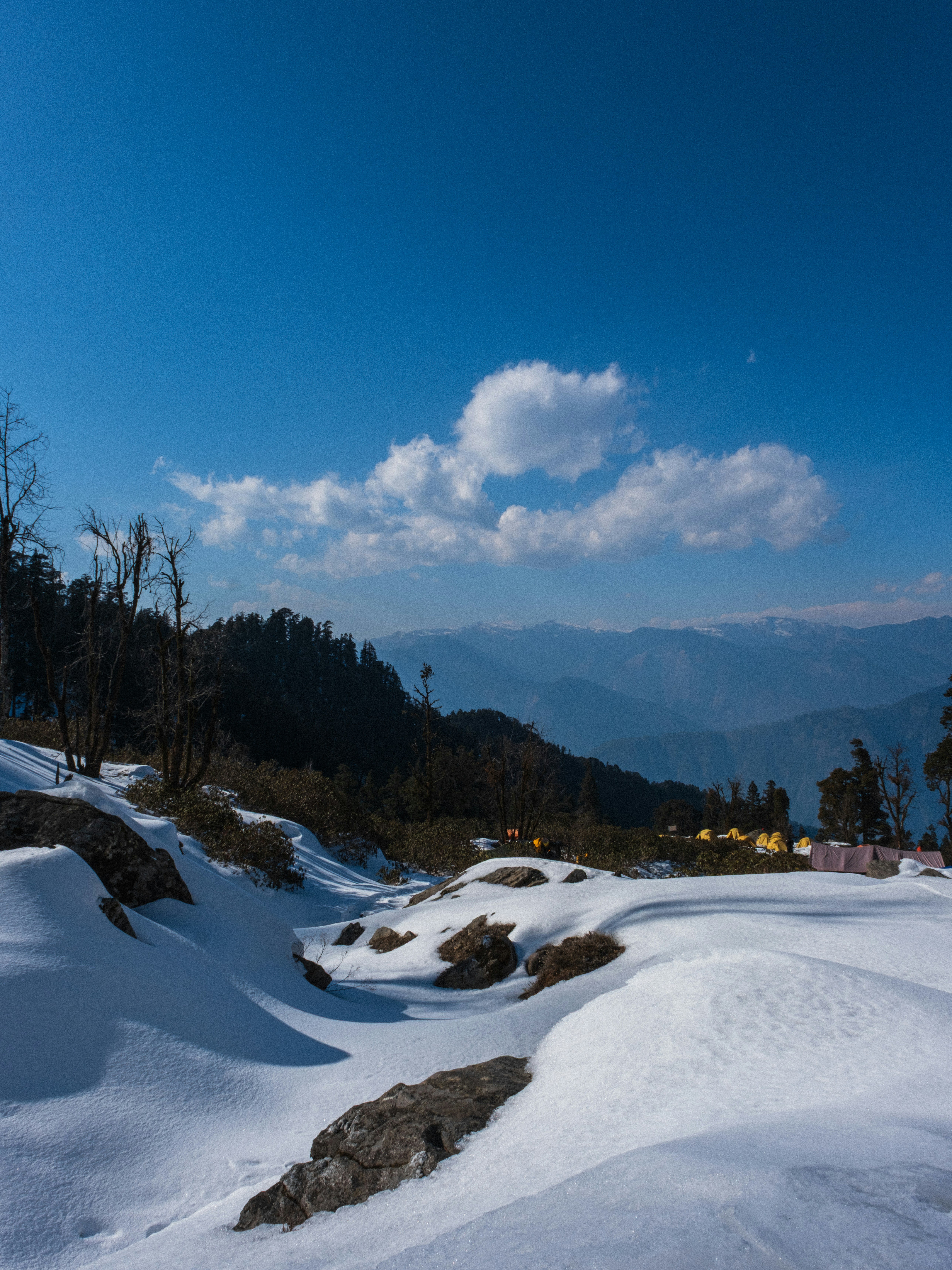 Photo by shubhudi