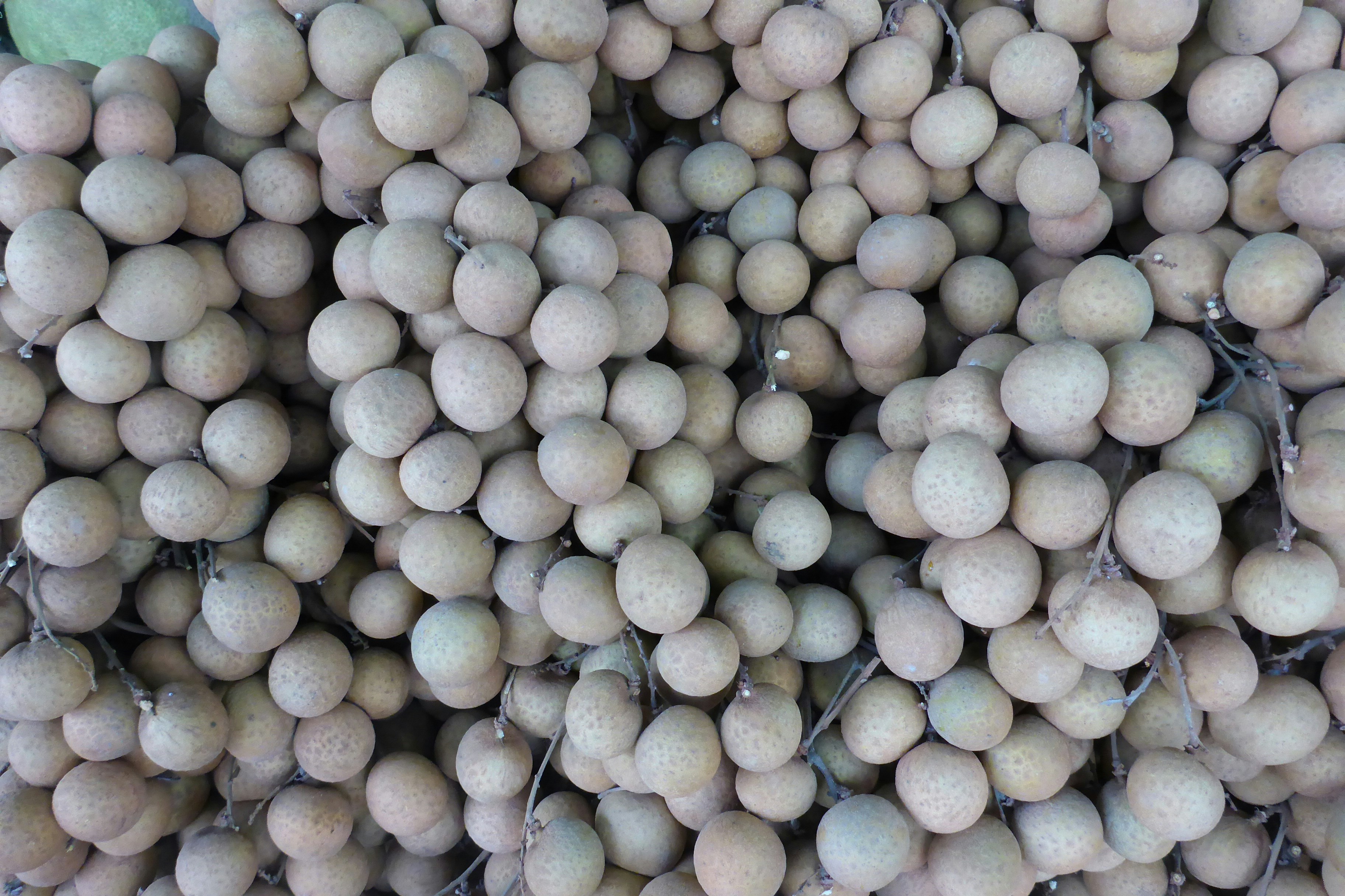 Photo by alexeysochirus