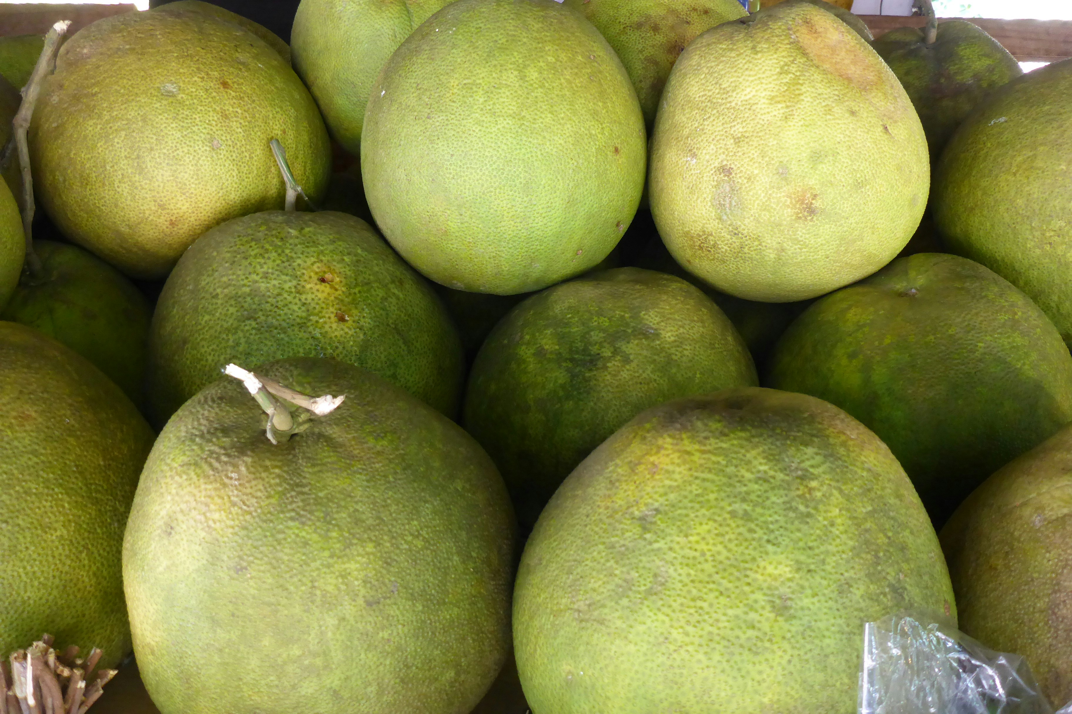 Photo by alexeysochirus