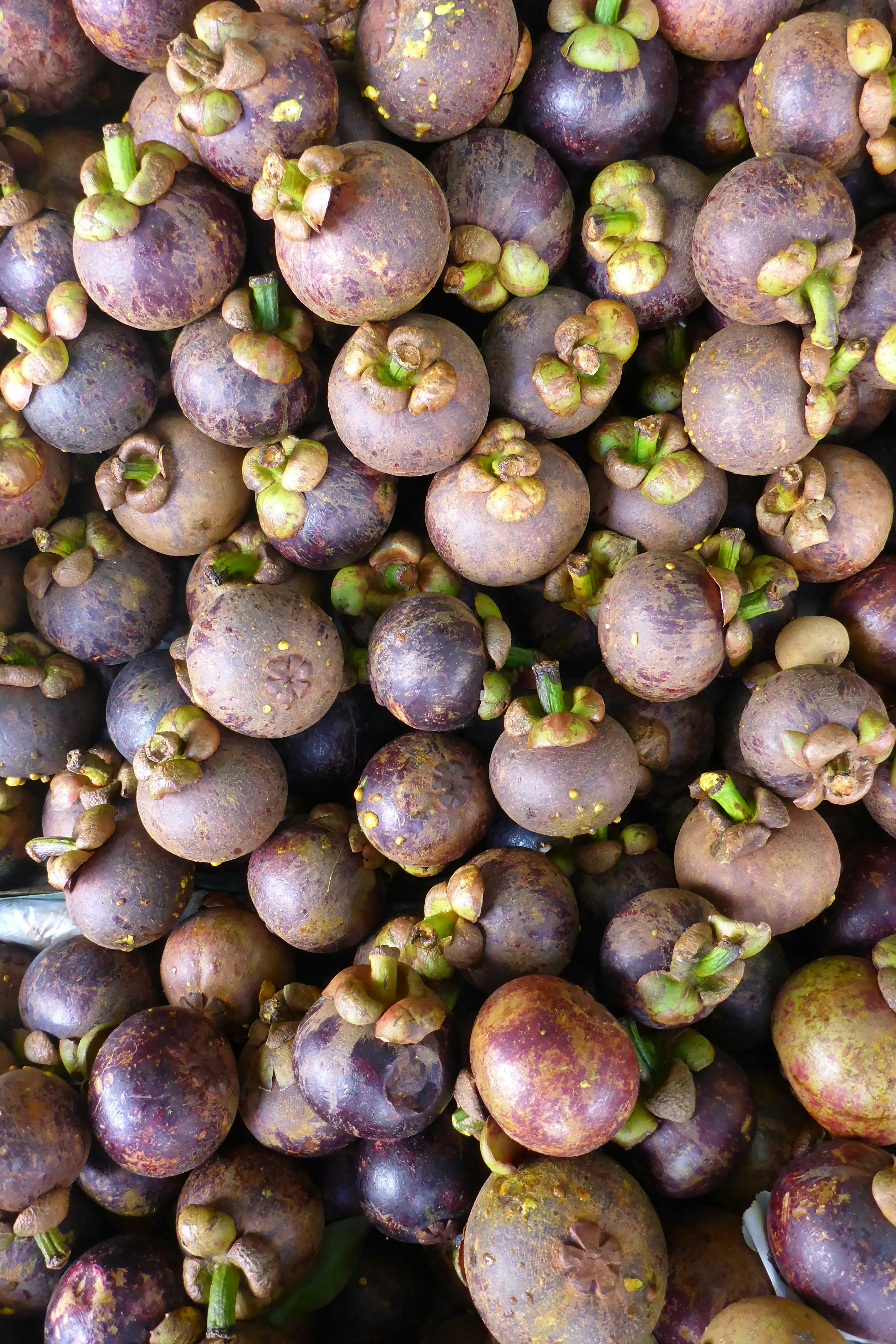 Photo by alexeysochirus