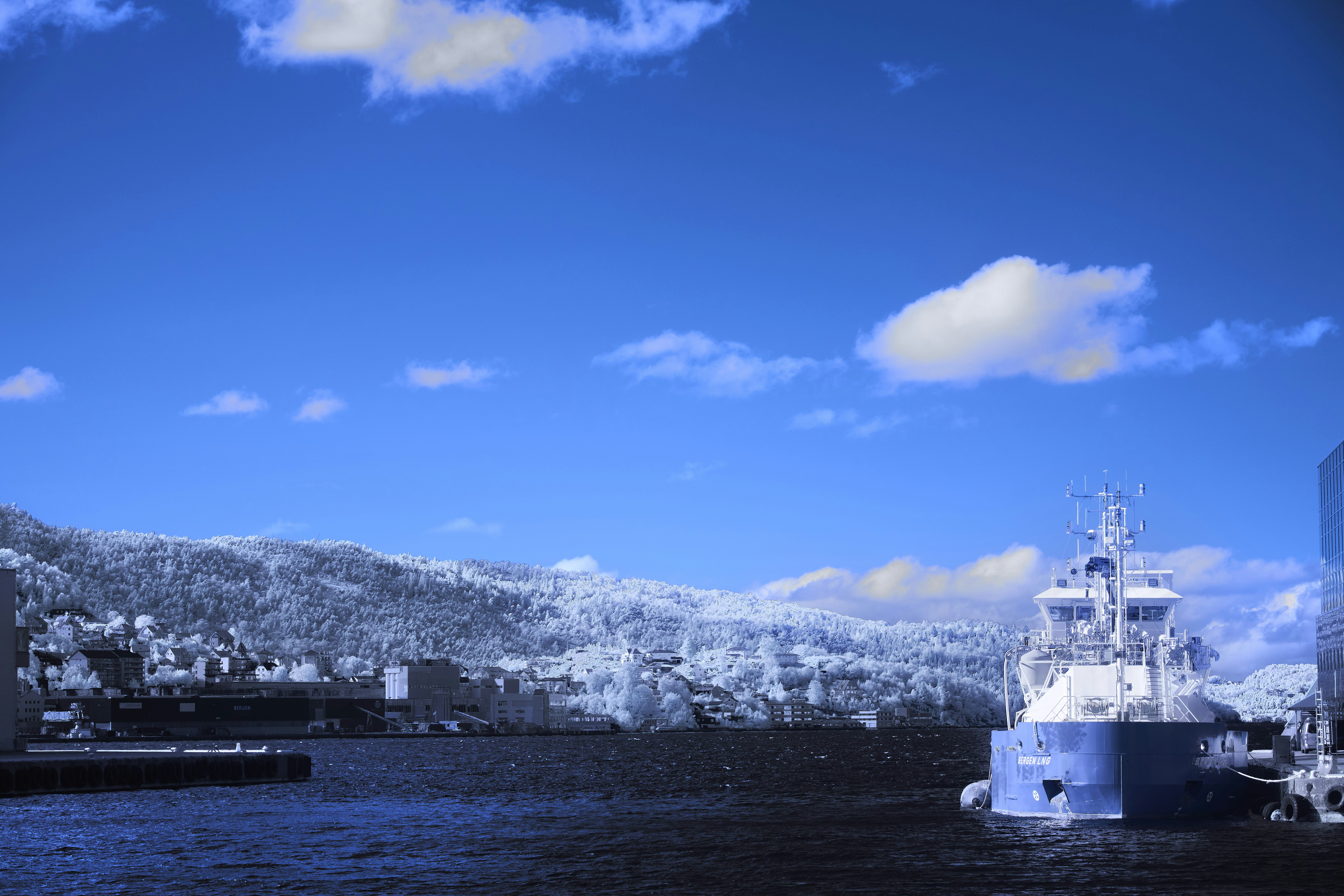 Photo by wolfgang_hasselmann