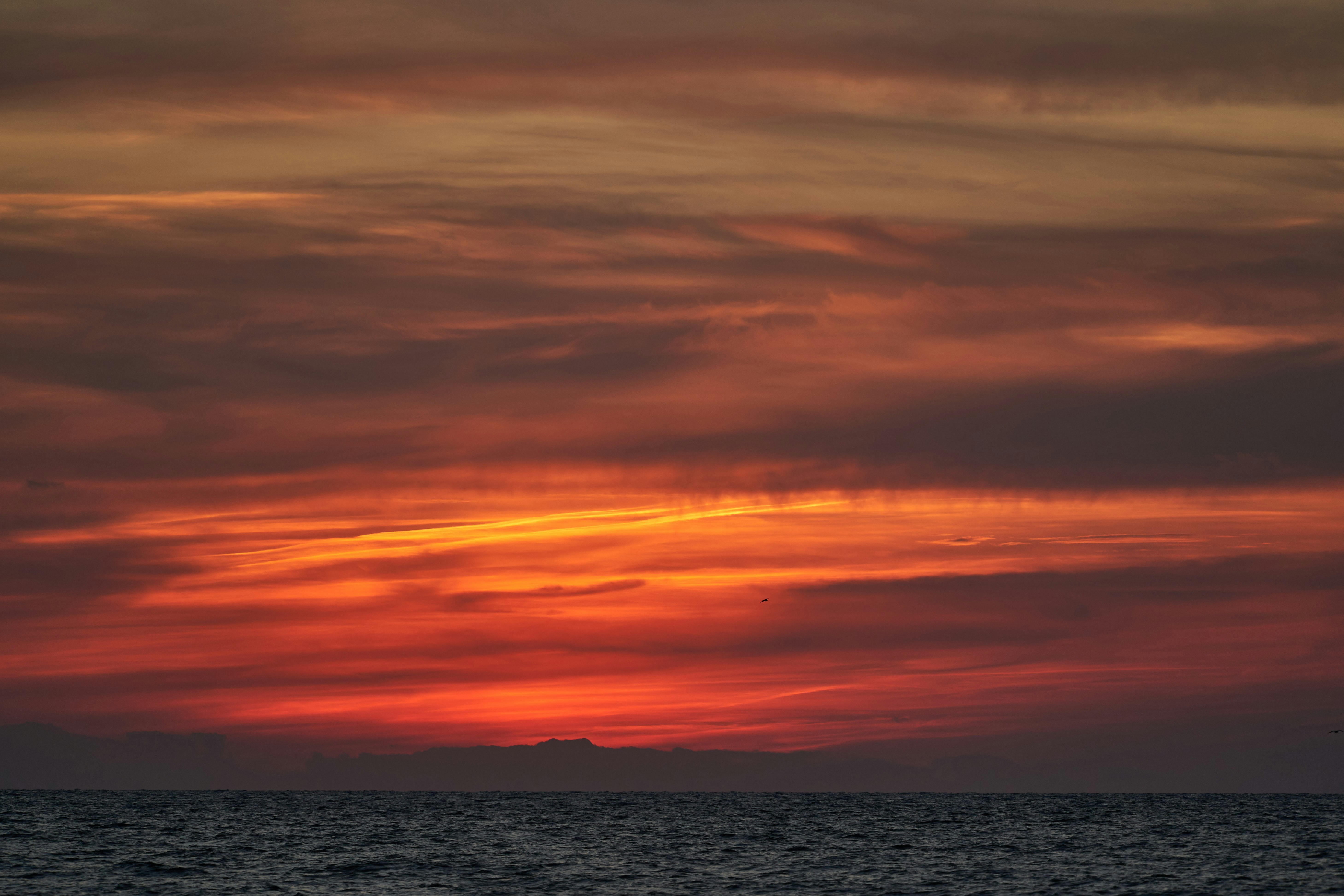 Photo by wolfgang_hasselmann