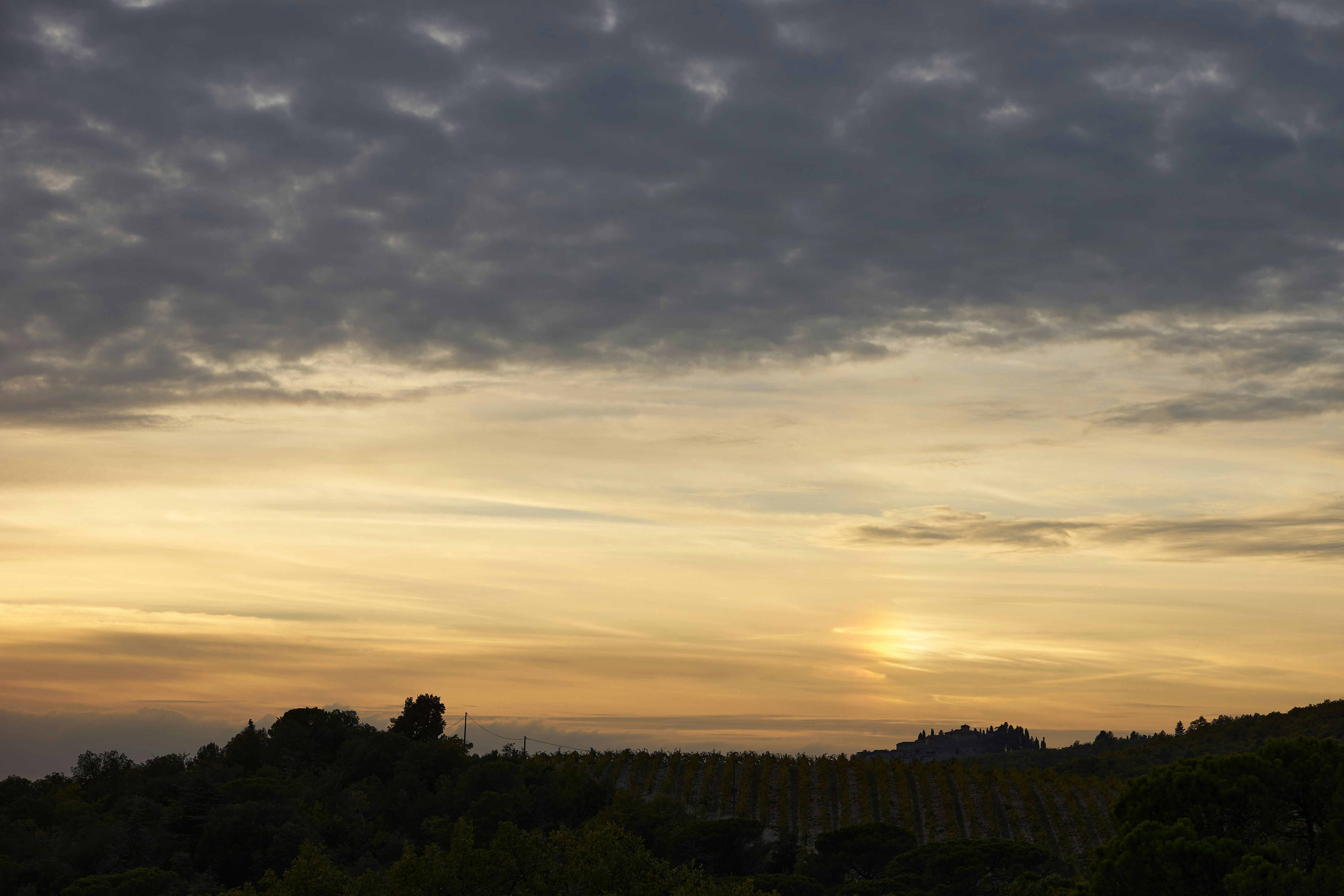 Photo by wolfgang_hasselmann