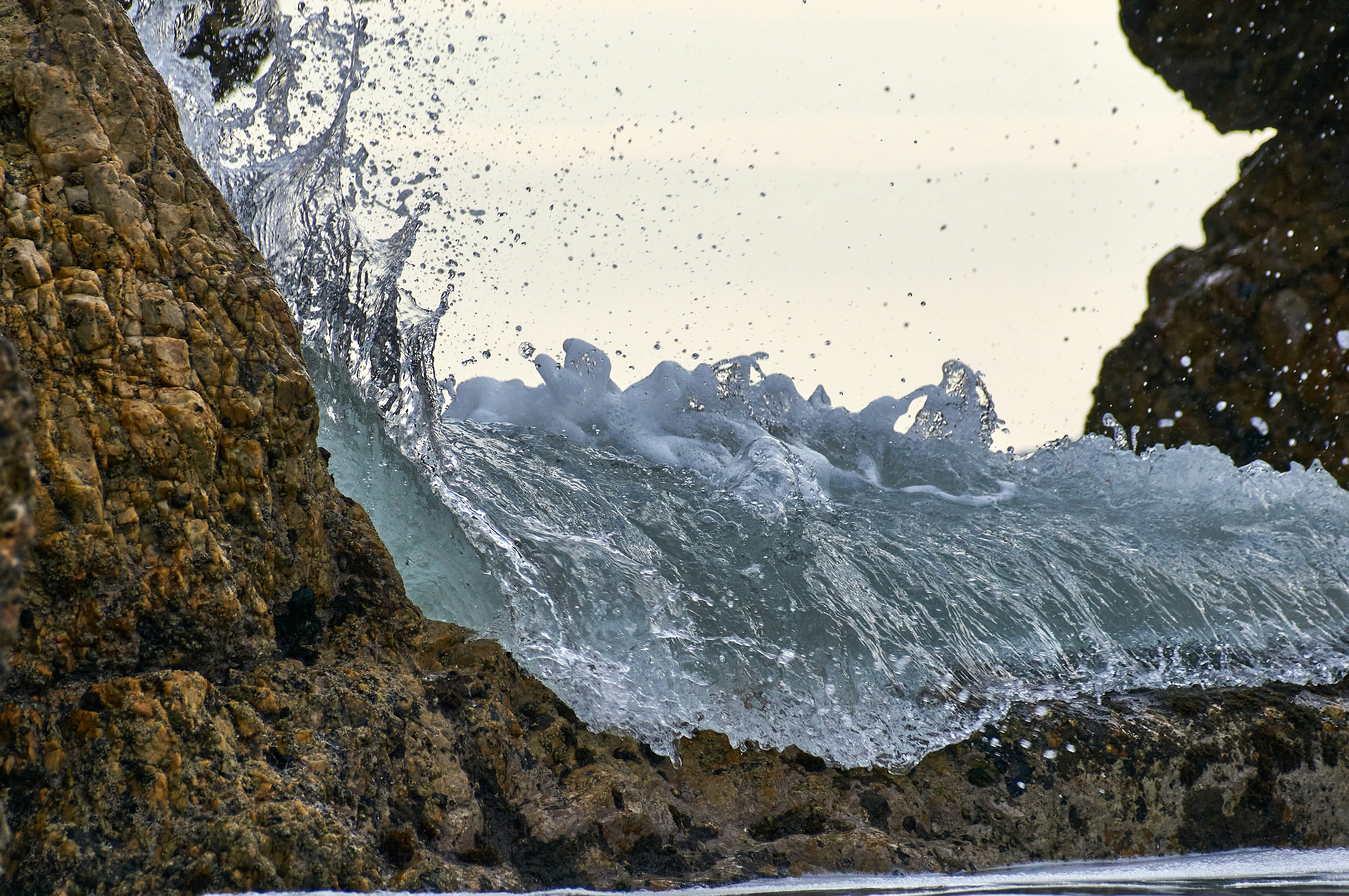 Photo by wolfgang_hasselmann