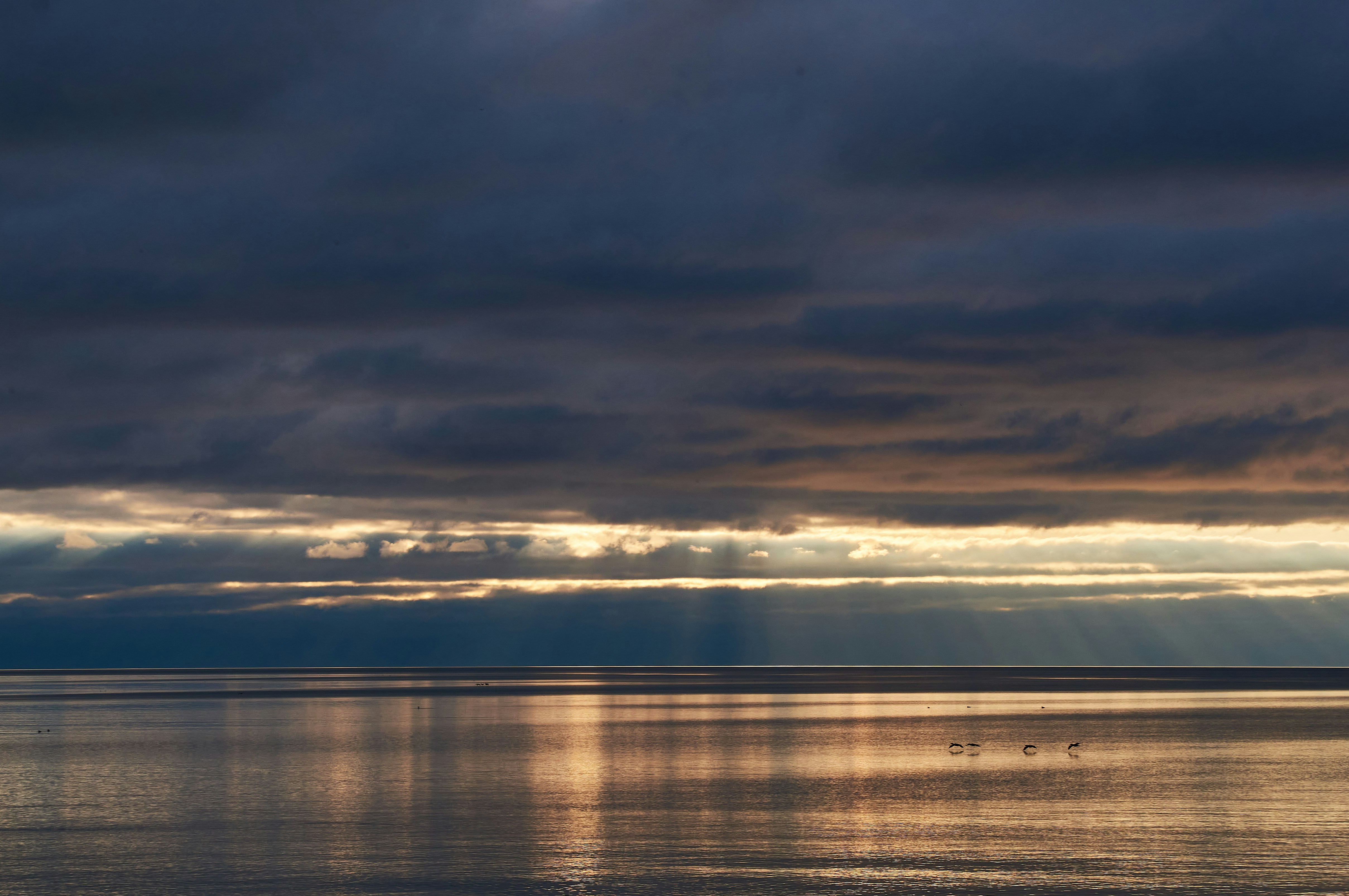 Photo by wolfgang_hasselmann