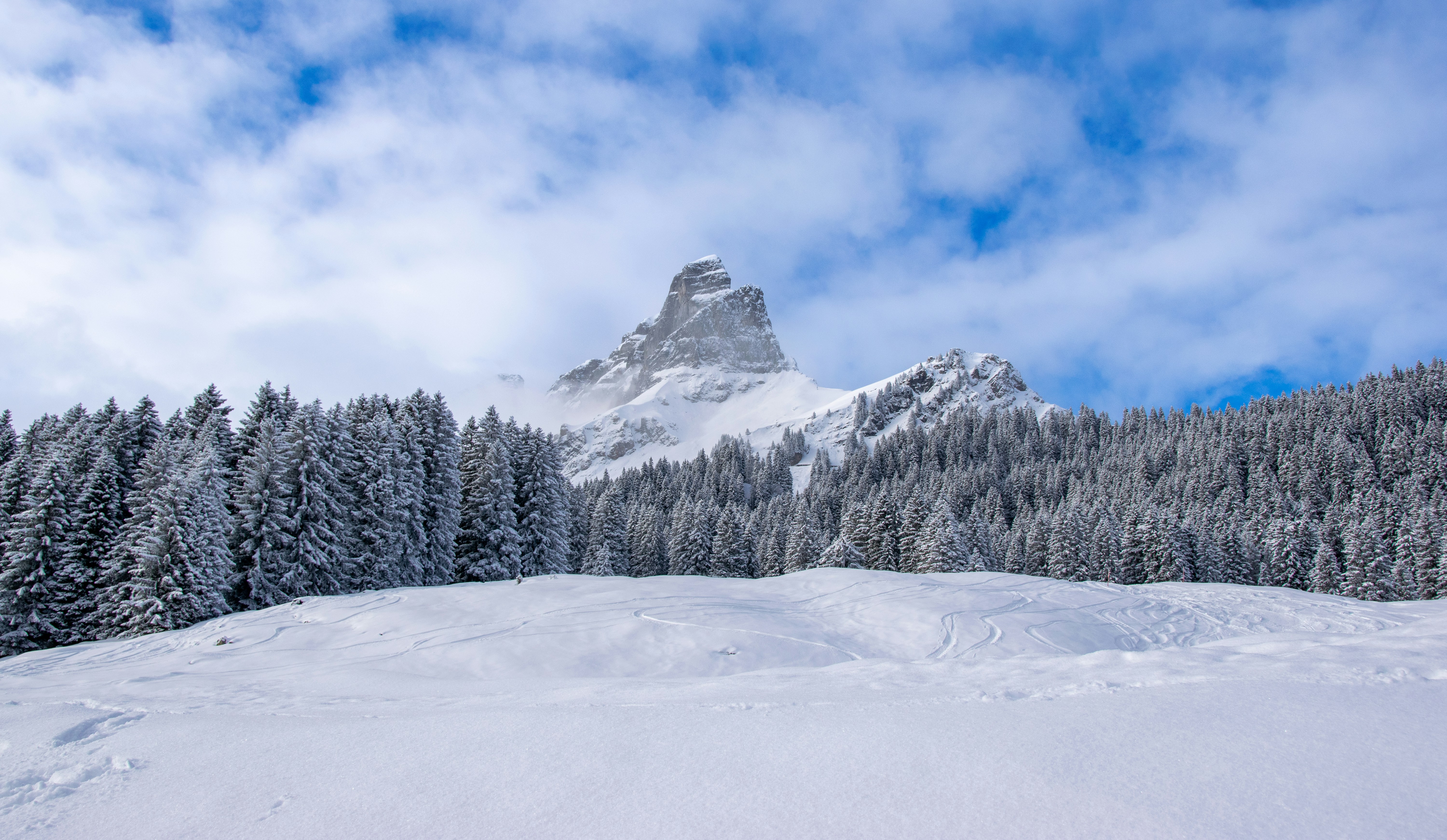 Photo by tiffanymarie