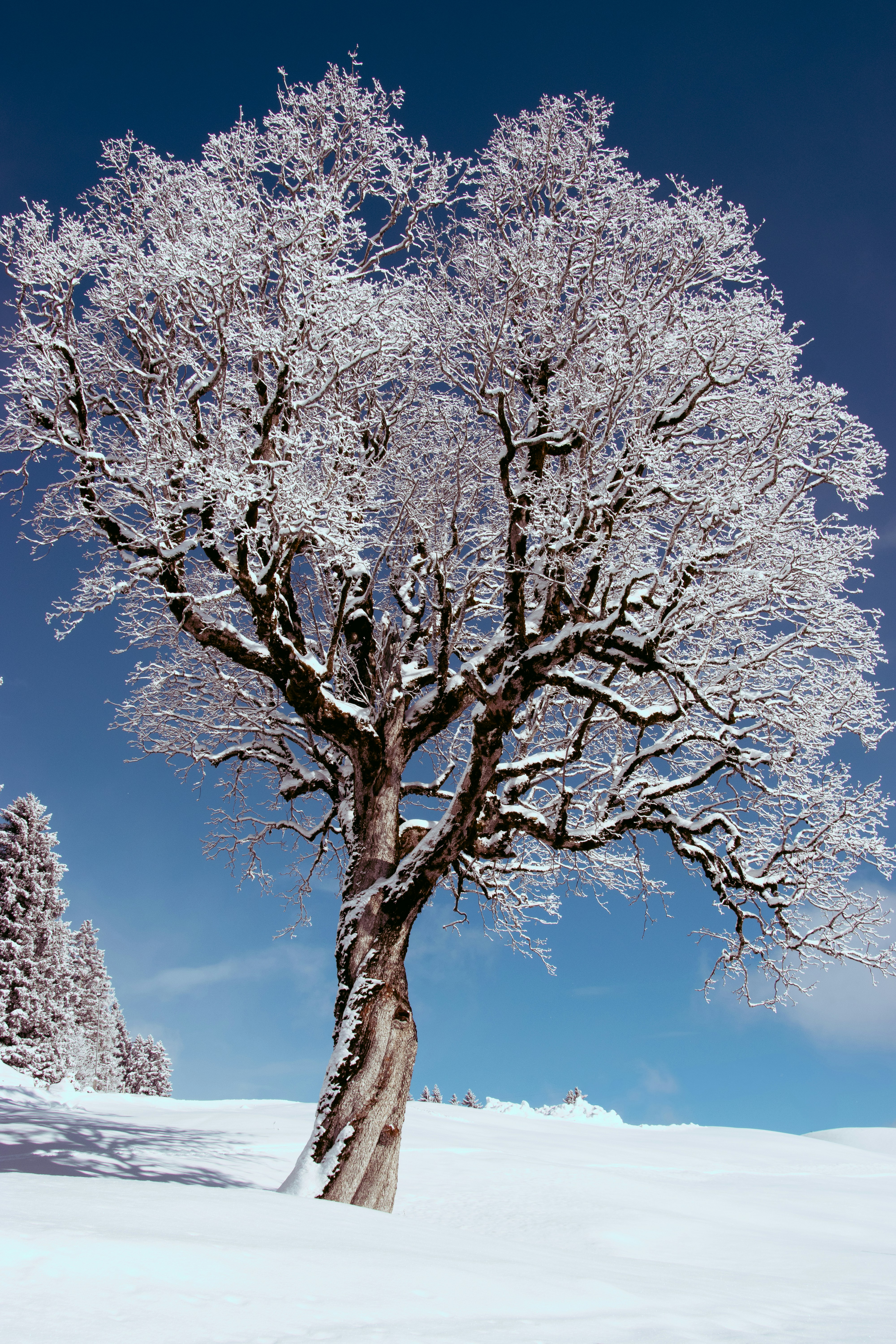 Photo by tiffanymarie