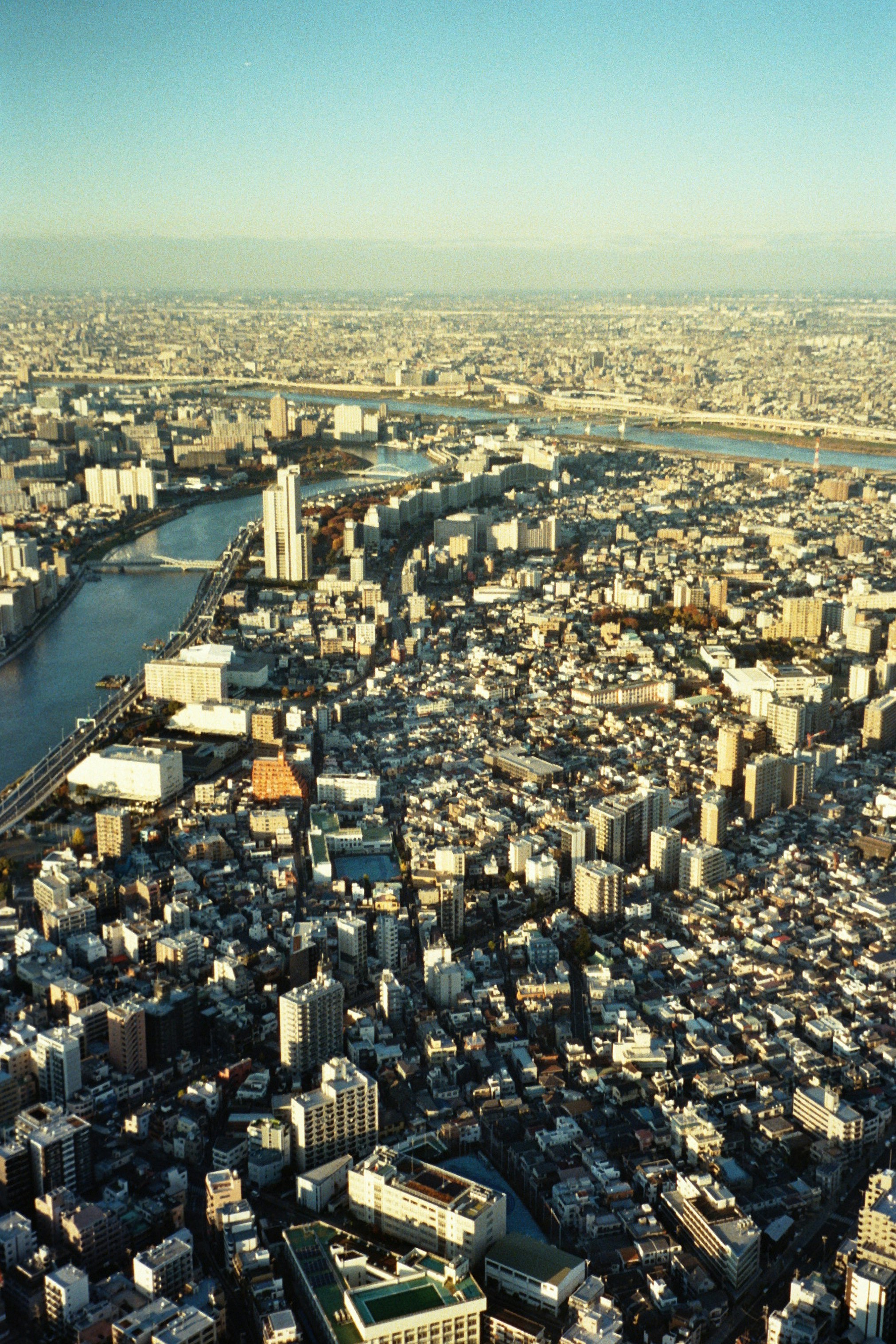 Photo by polloalcurry