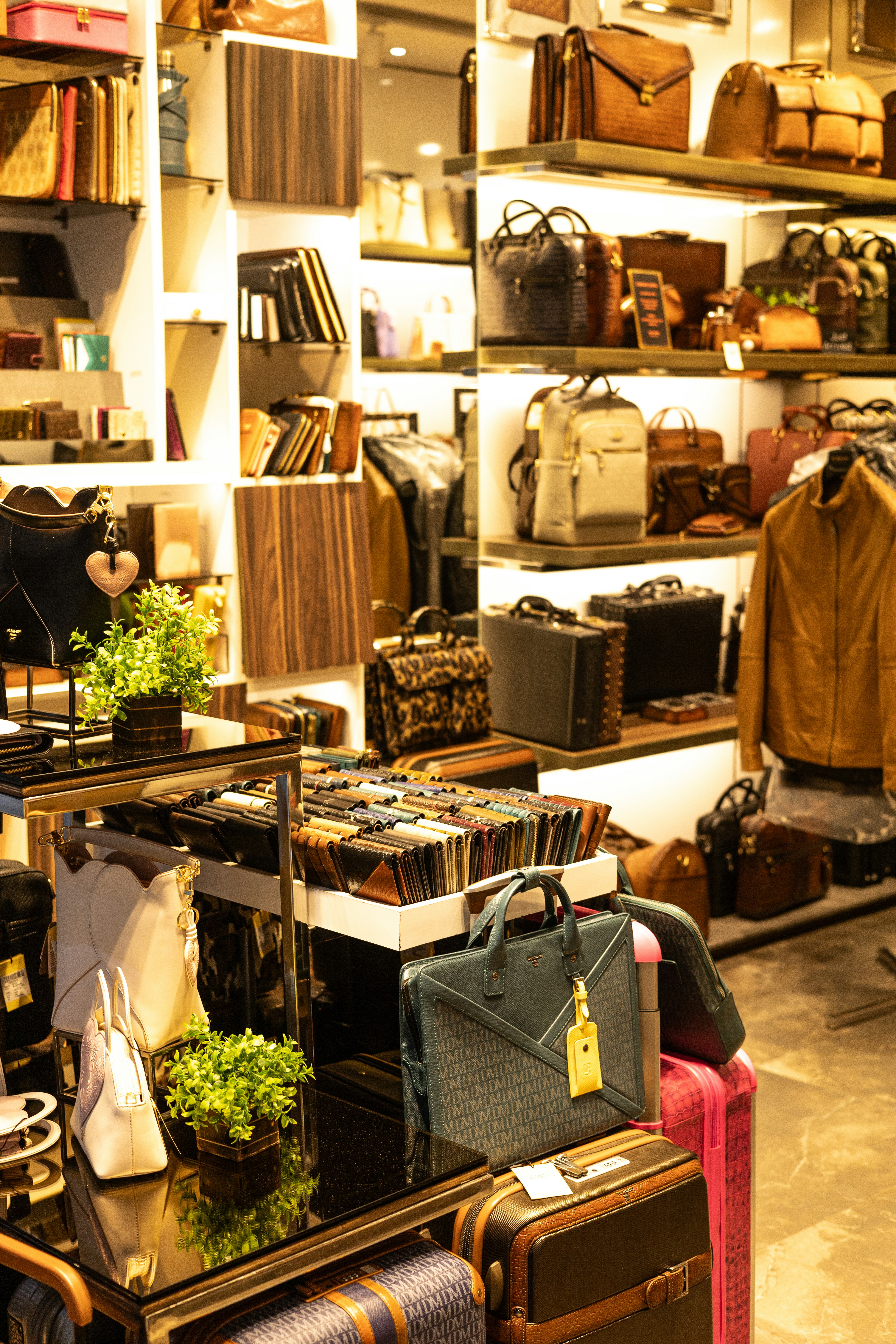 Photo by amaanabidhussain