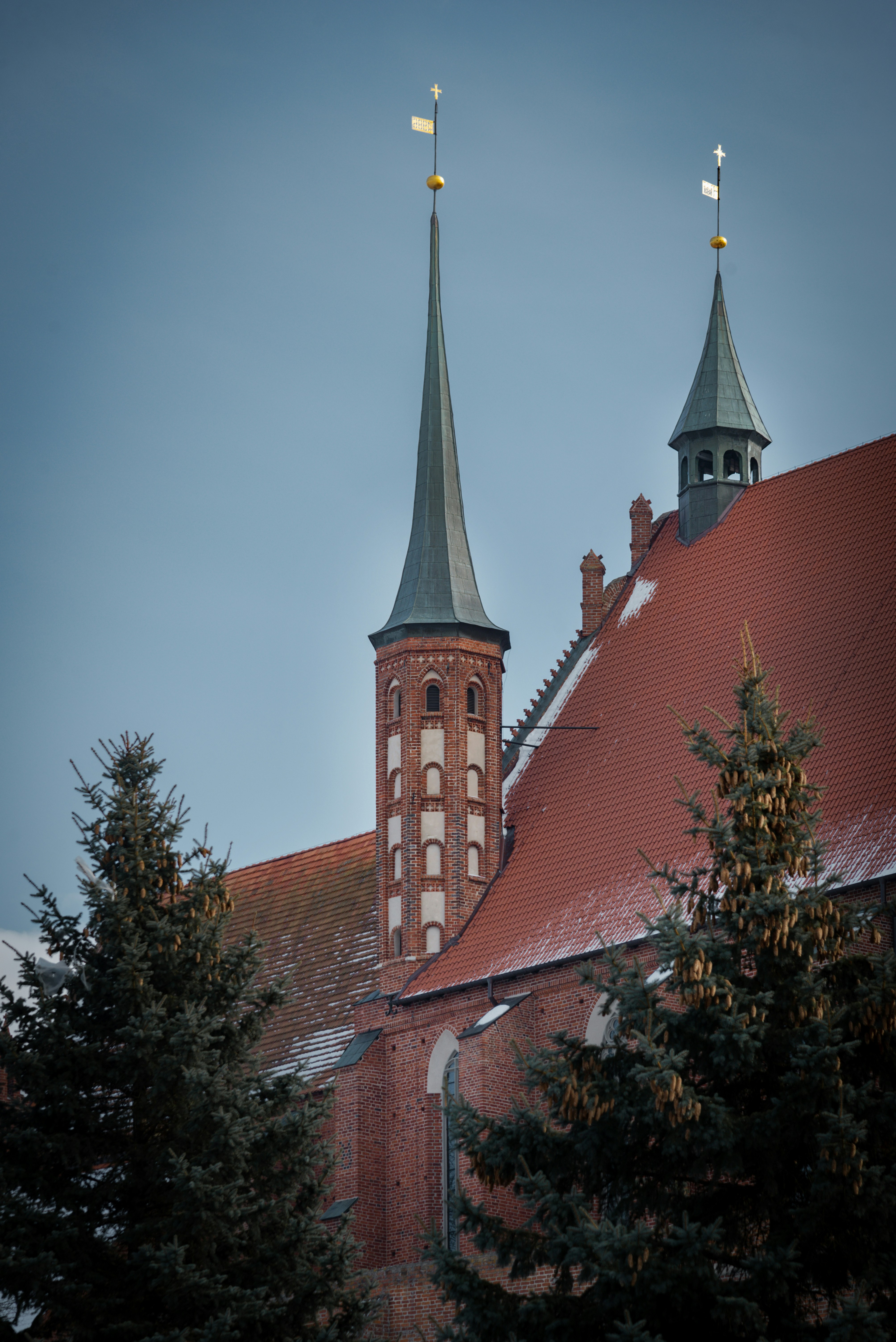 Photo by malwinanogaj