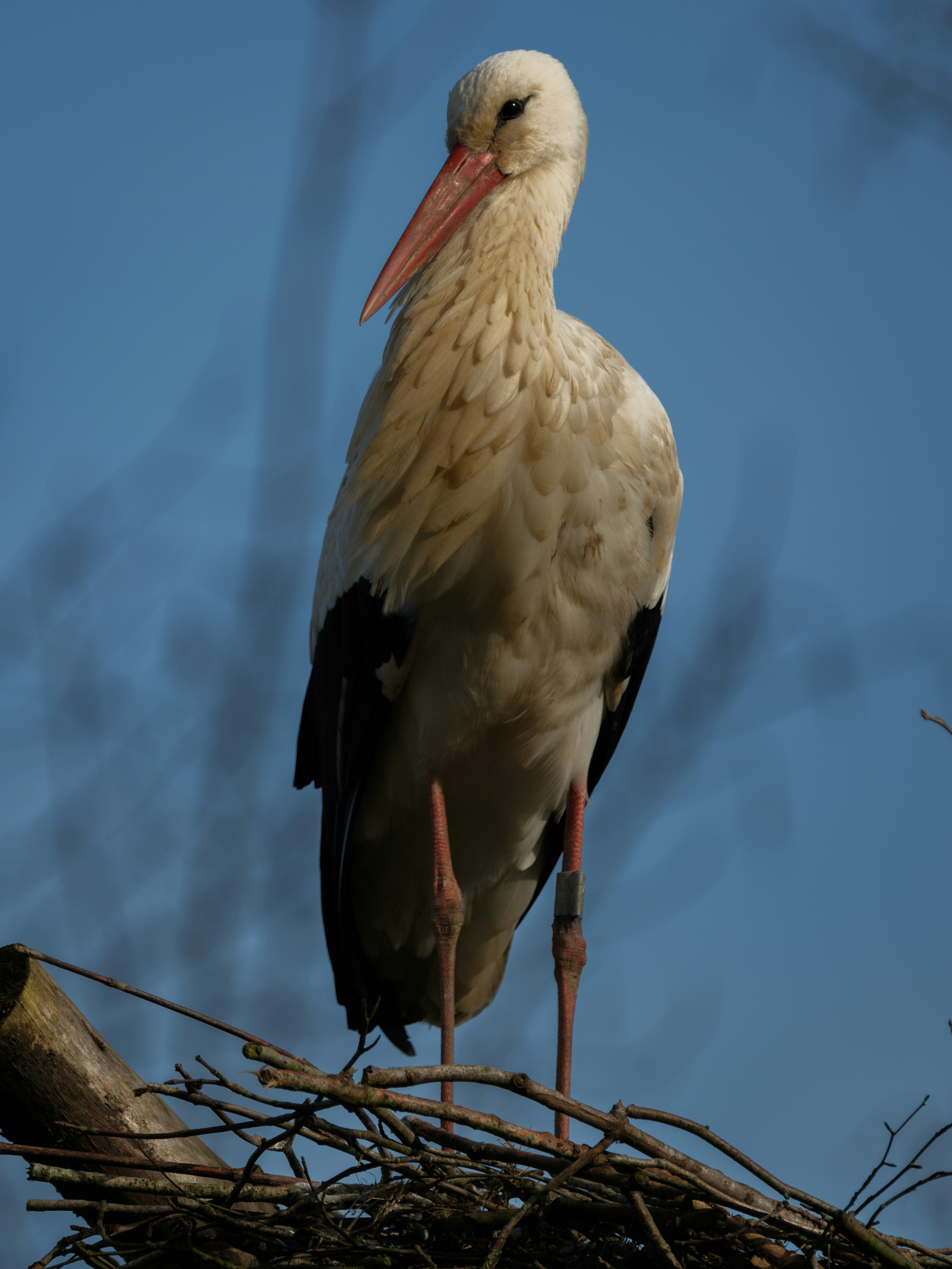 Photo by haberdoedas