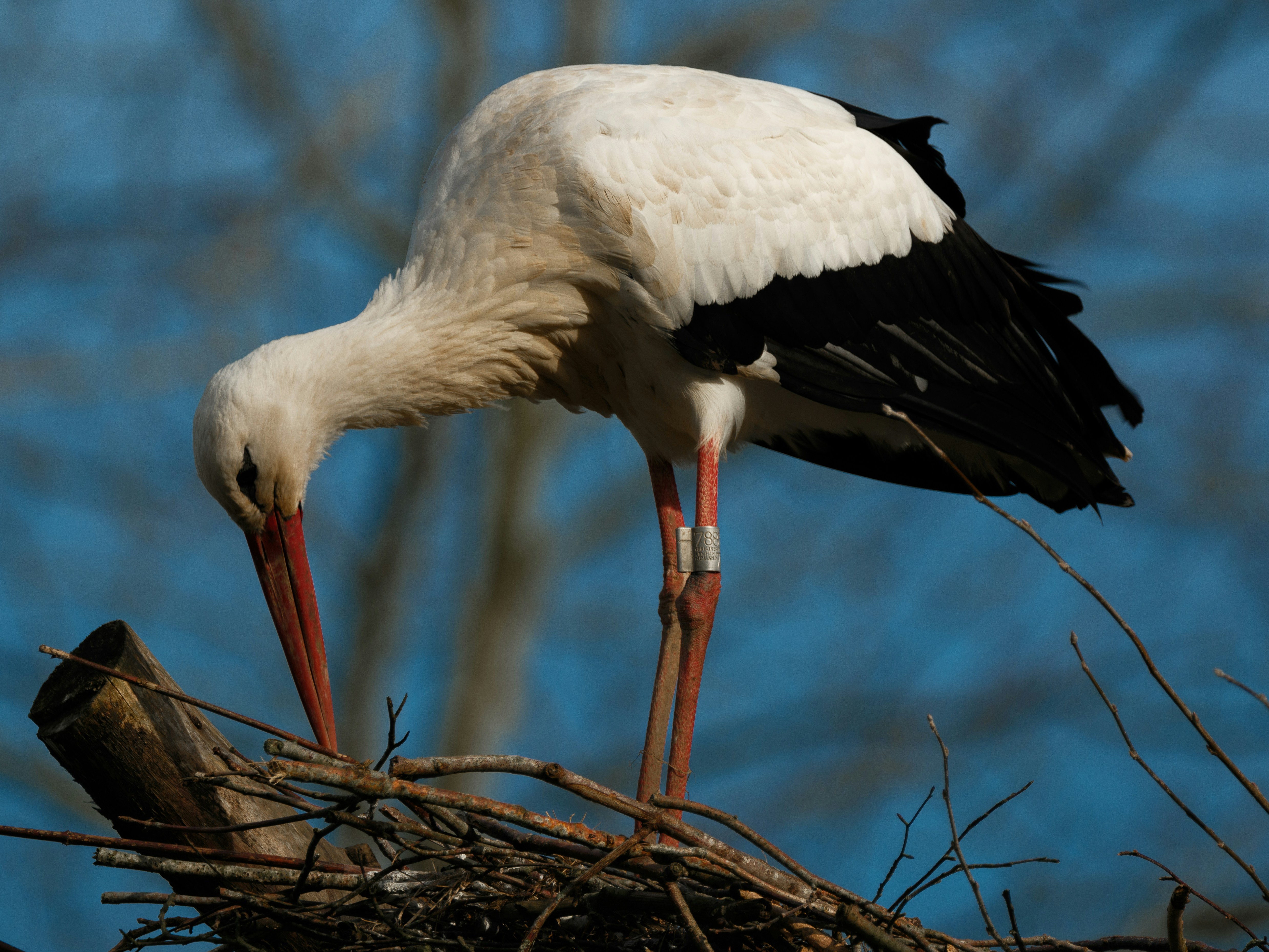 Photo by haberdoedas