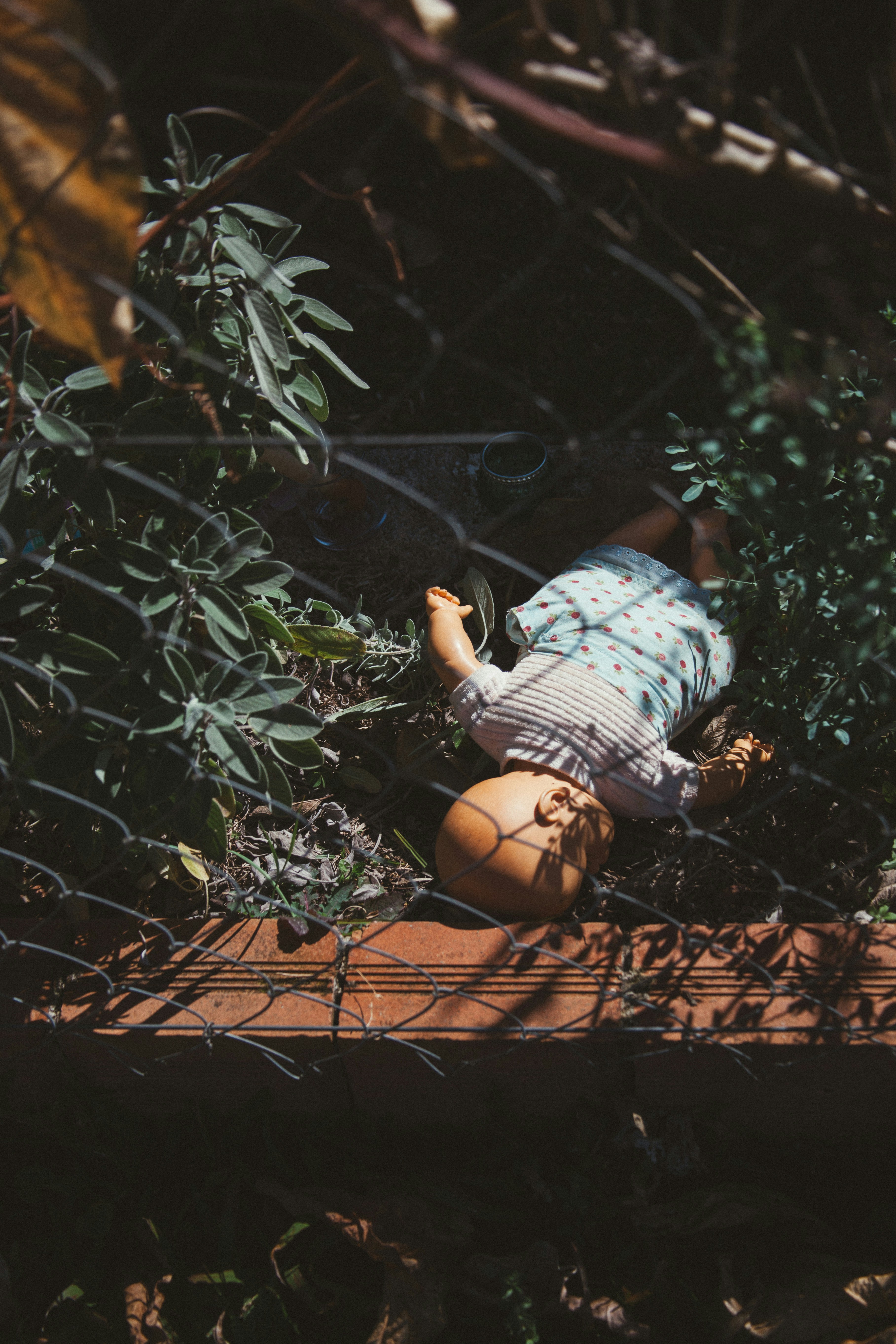 A toy is laying on a wooden platform in the woods