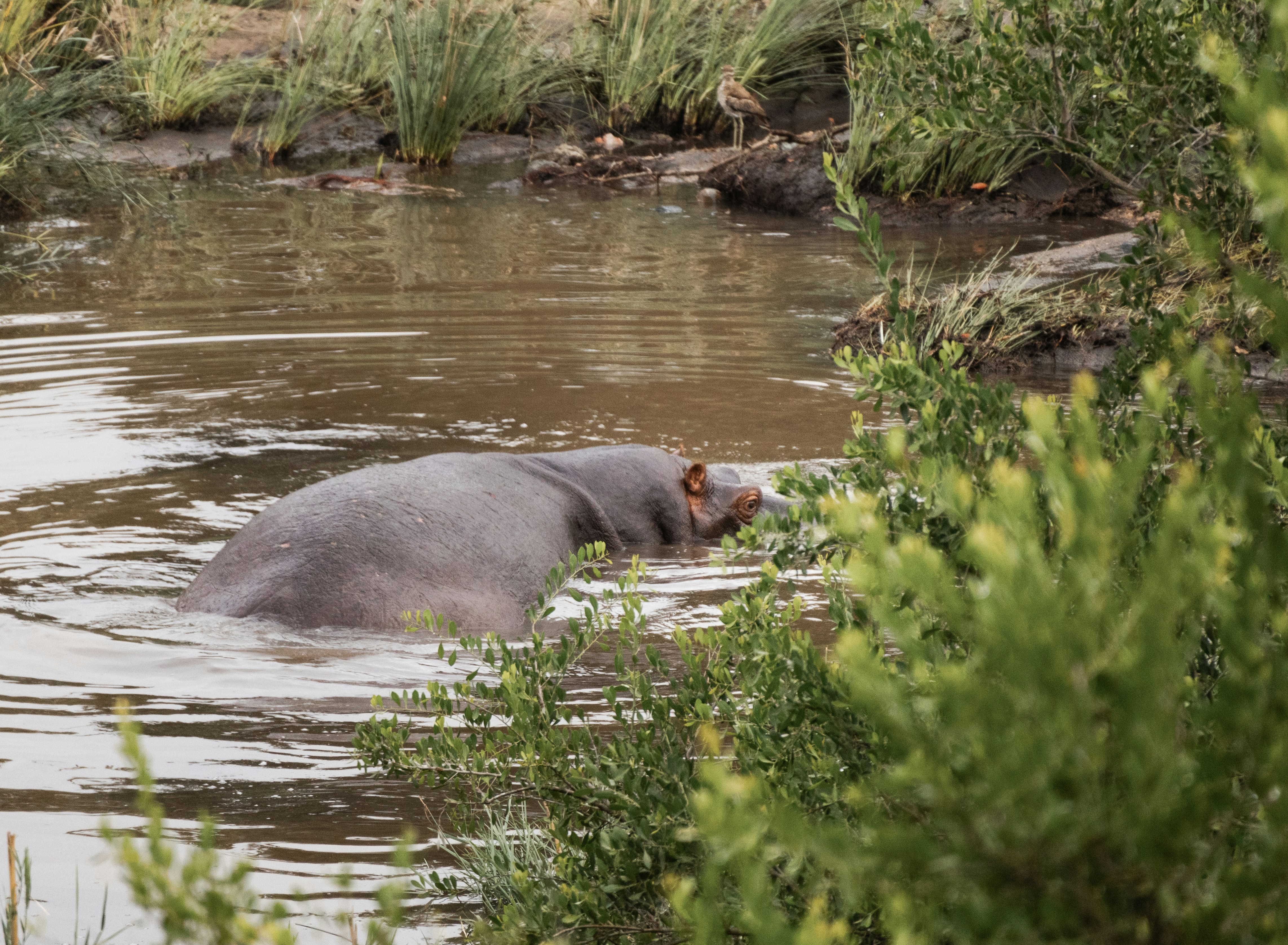 Photo by ajonesyyyyy