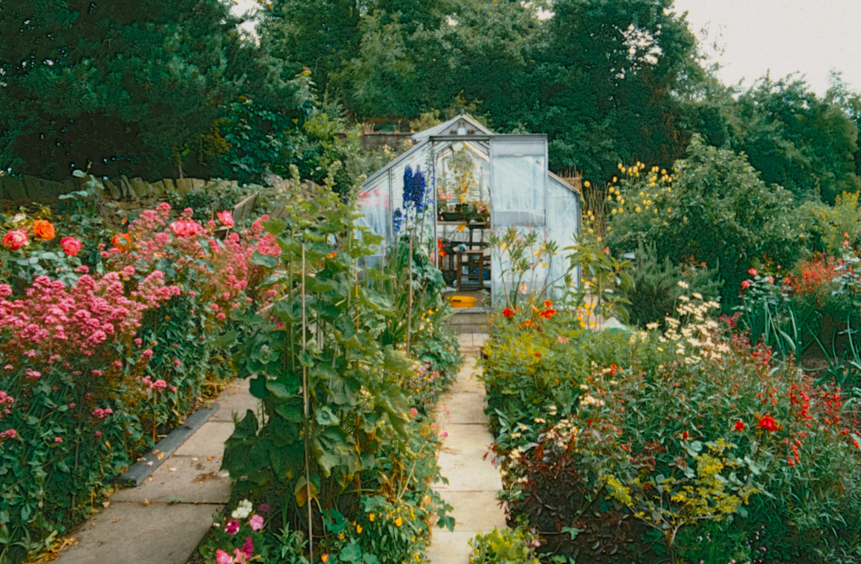 Cottage Garden