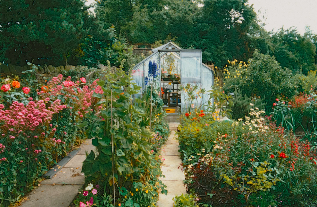 Massif de fleurs variées dans un jardin