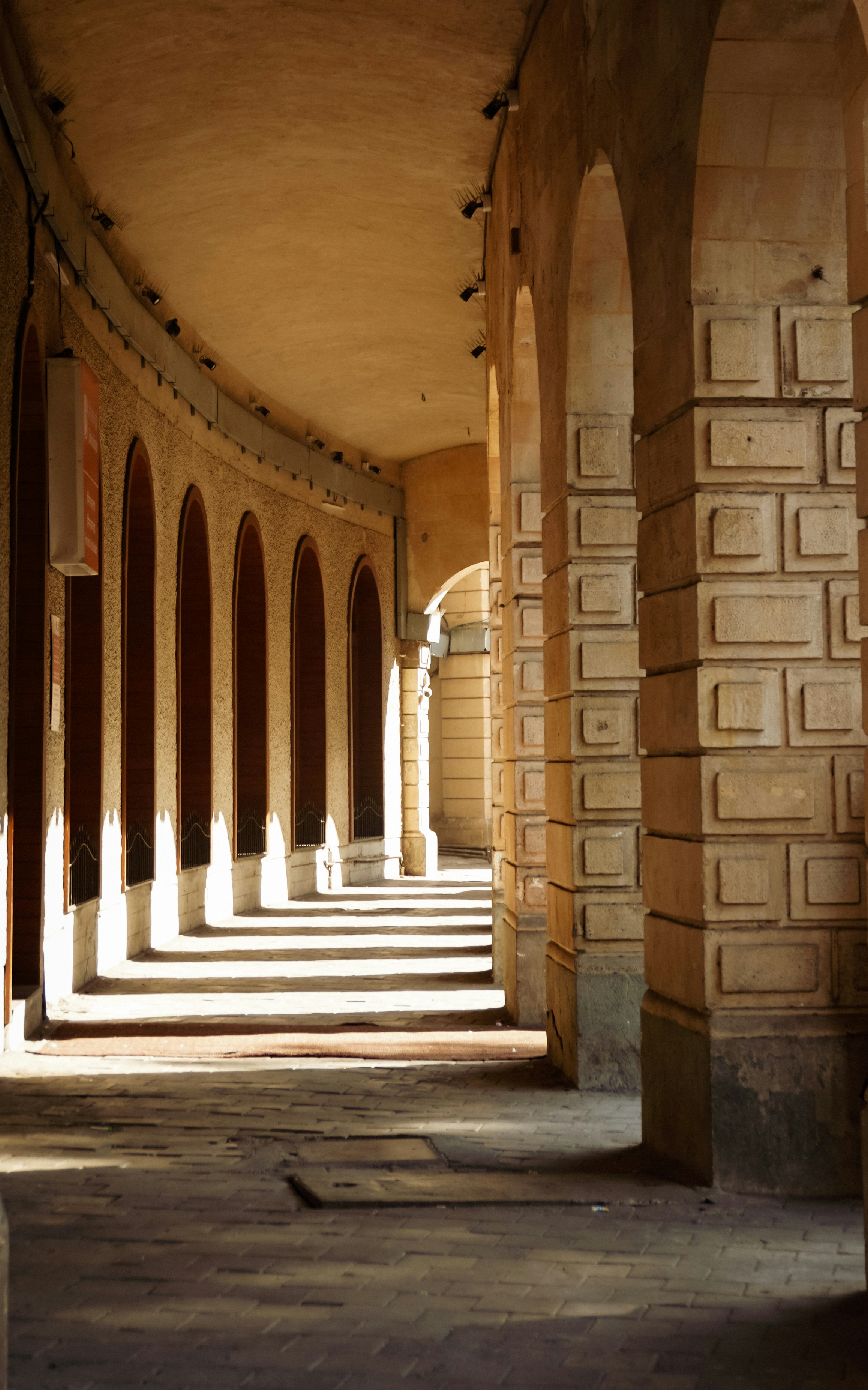 Photo by _muser_photography