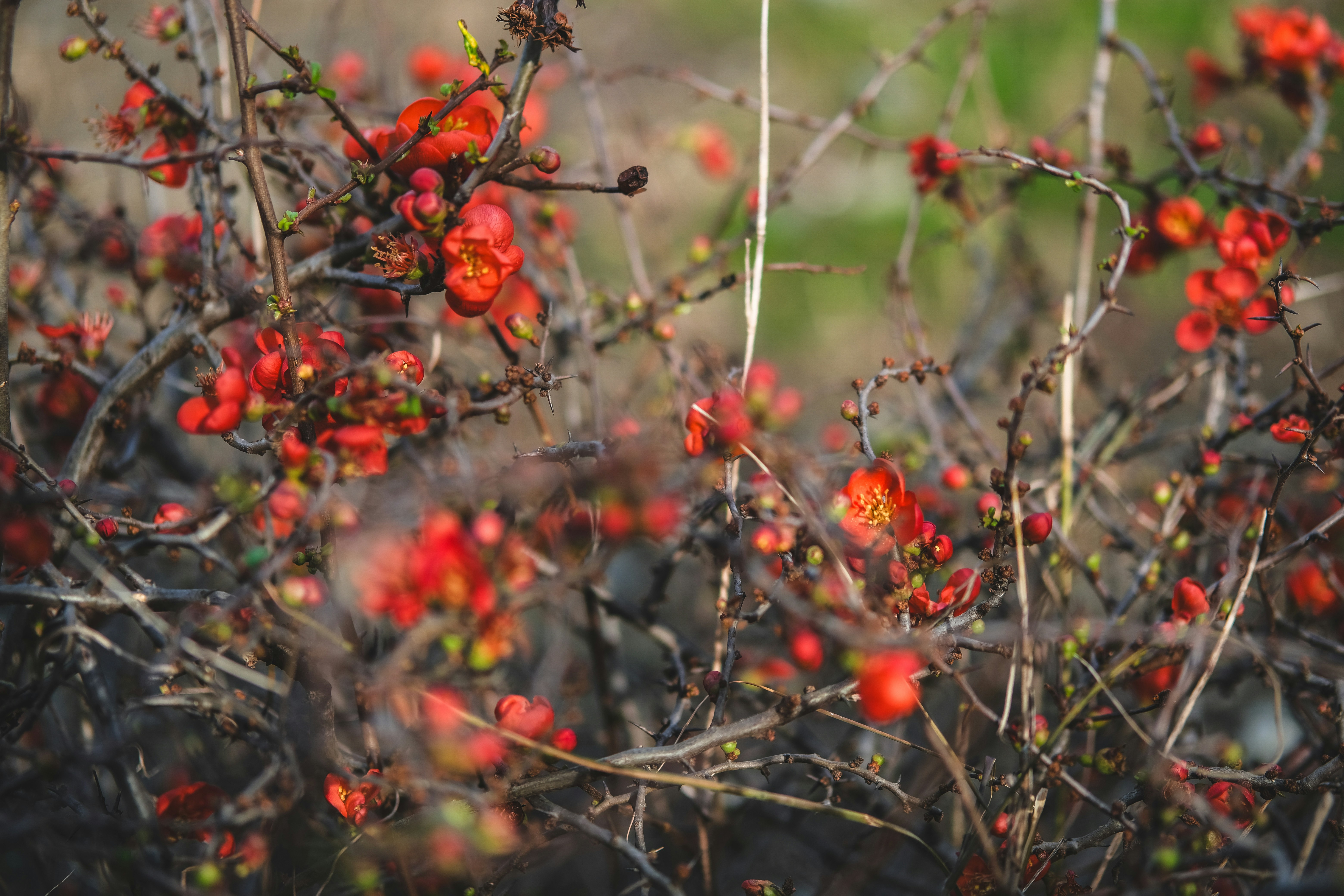 Photo by rolig_basseng