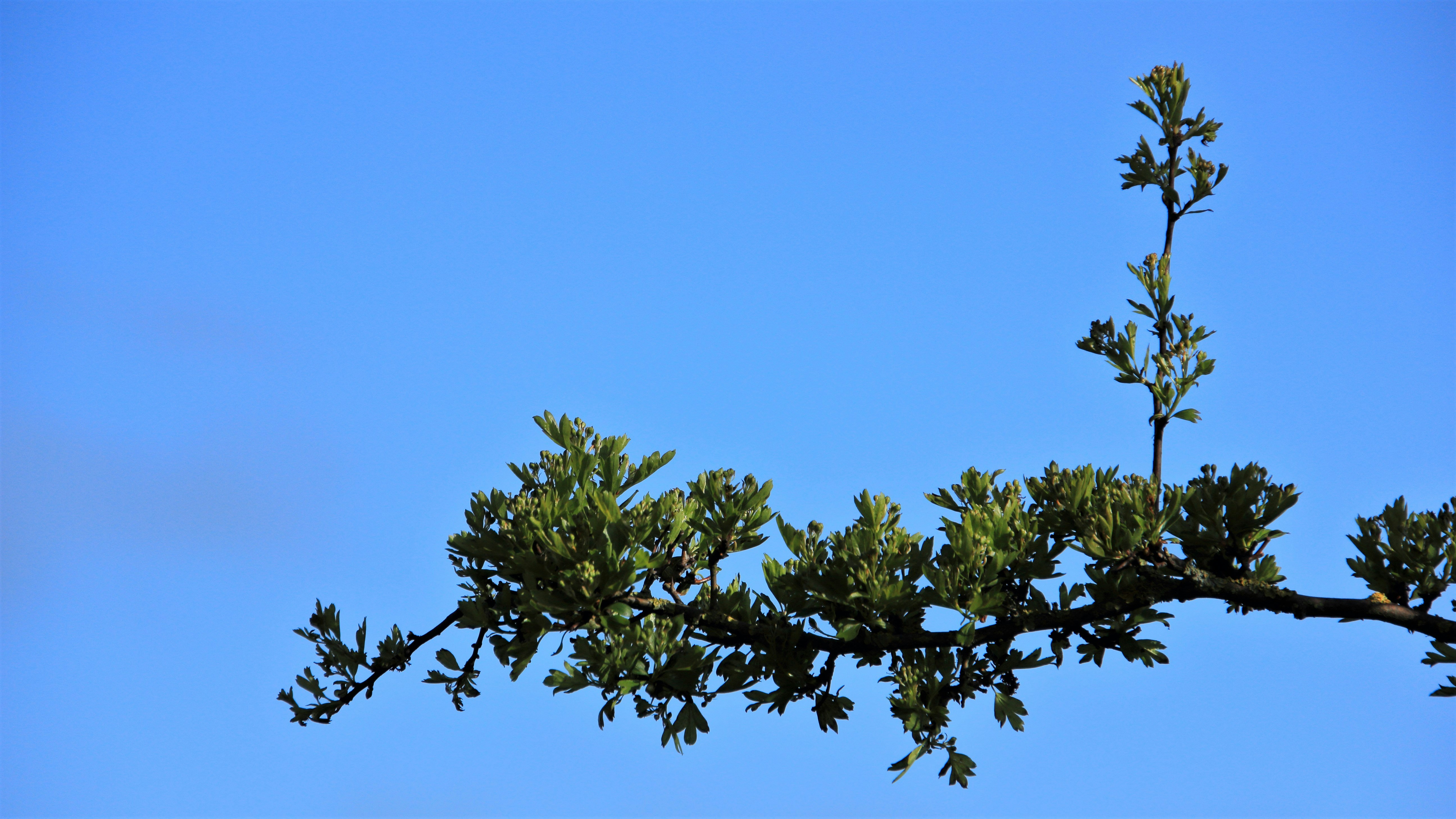 Photo by a_photo_by_lex