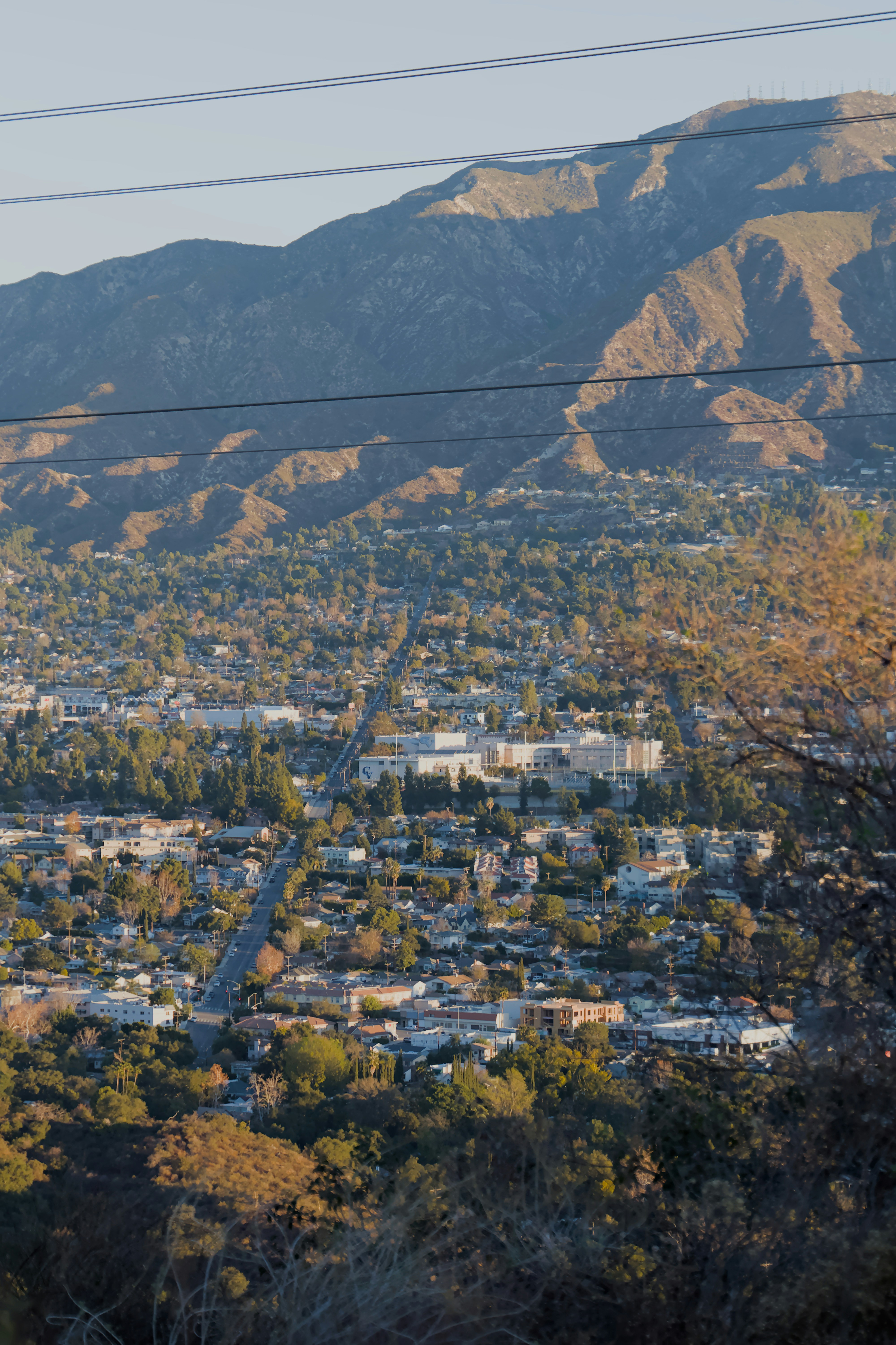 Photo by carbonmonoxide