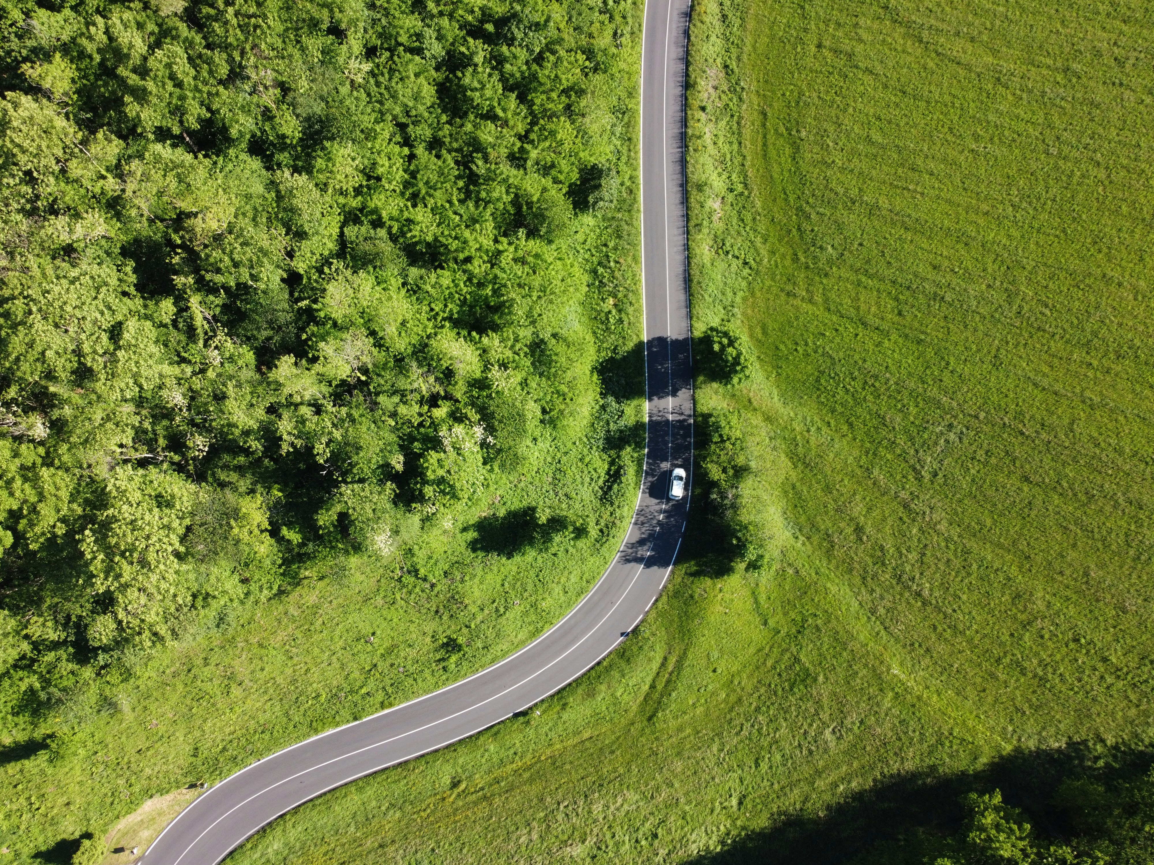 Photo by marcoricupero